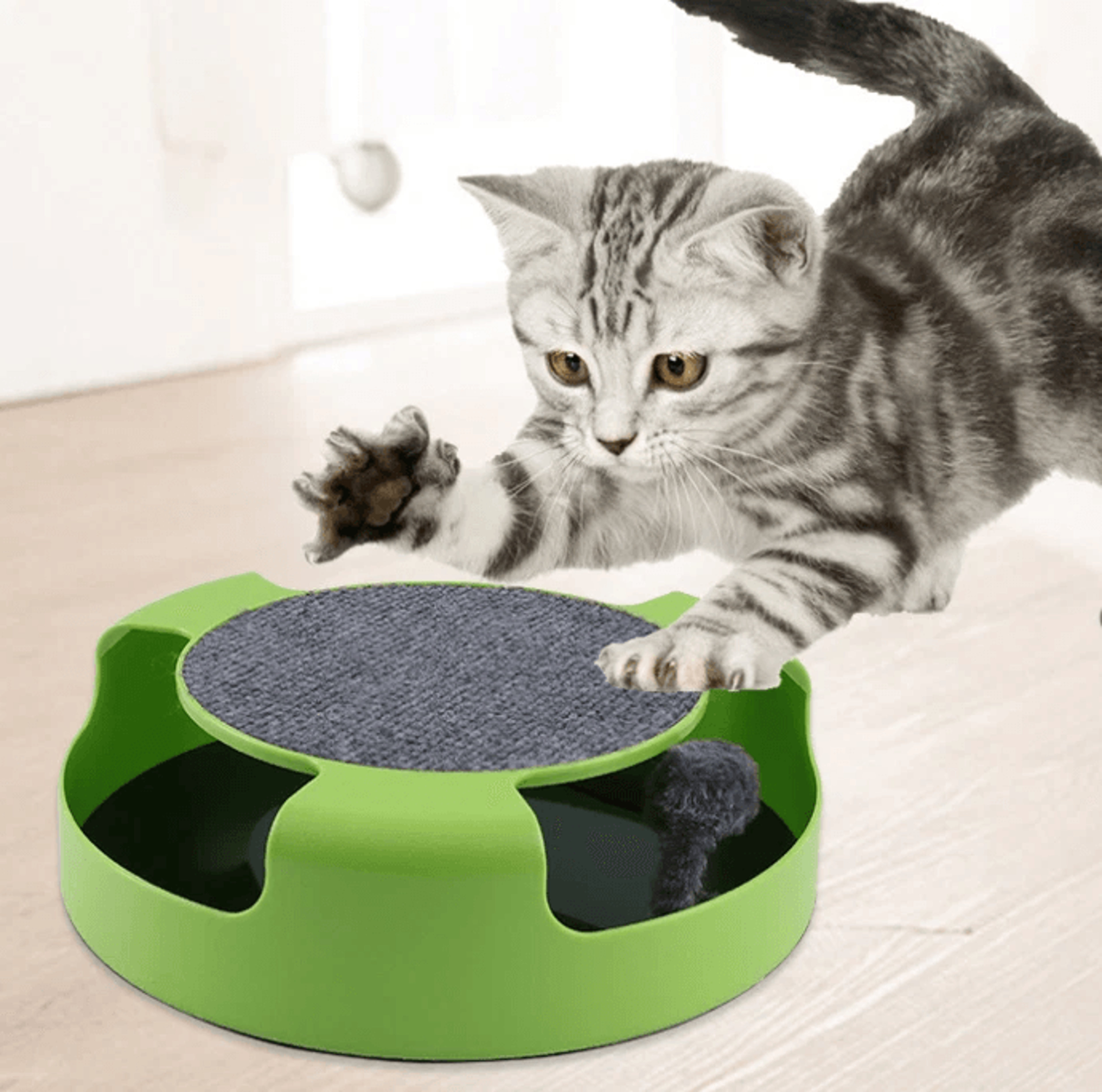 interactive cat mouse turntable toy for indoor cats