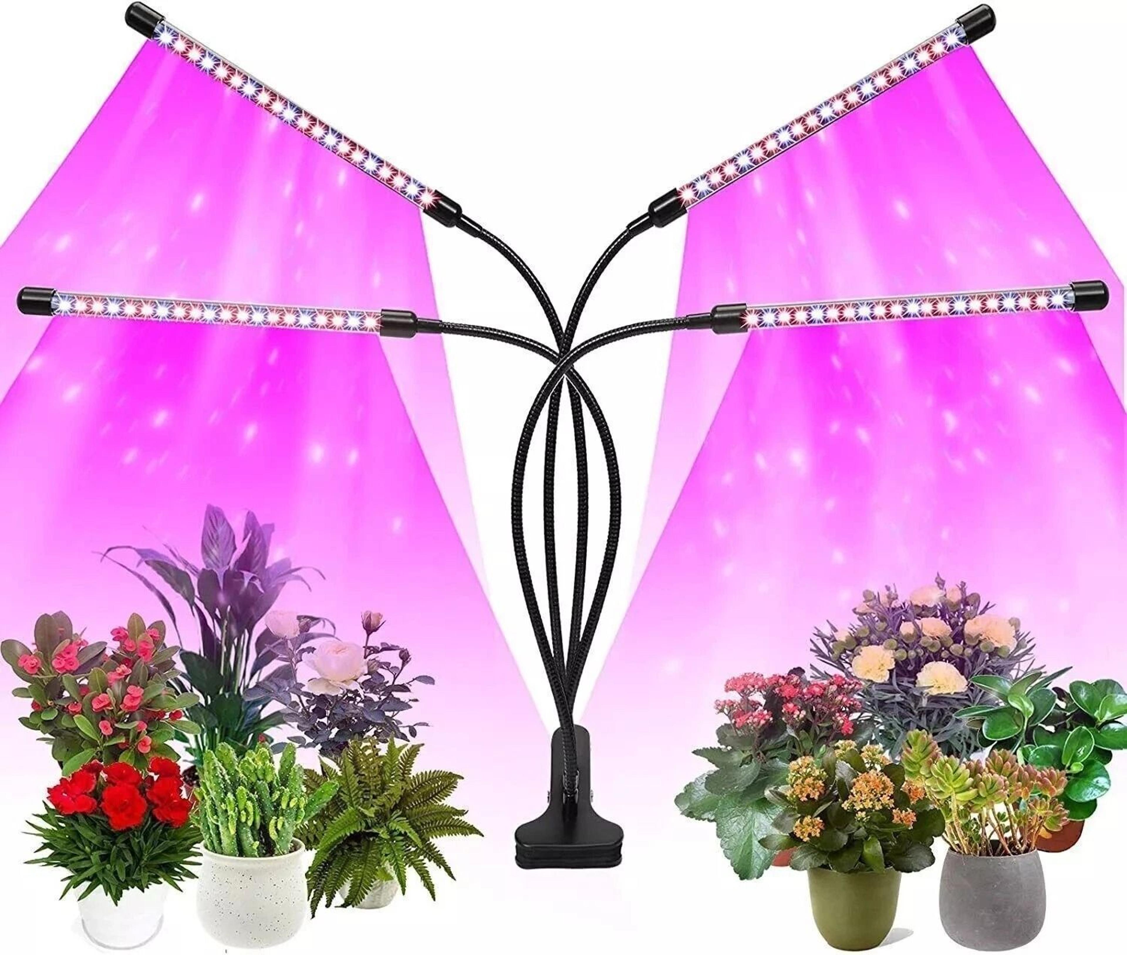 head full spectrum grow light for indoor plants with leds and usb power