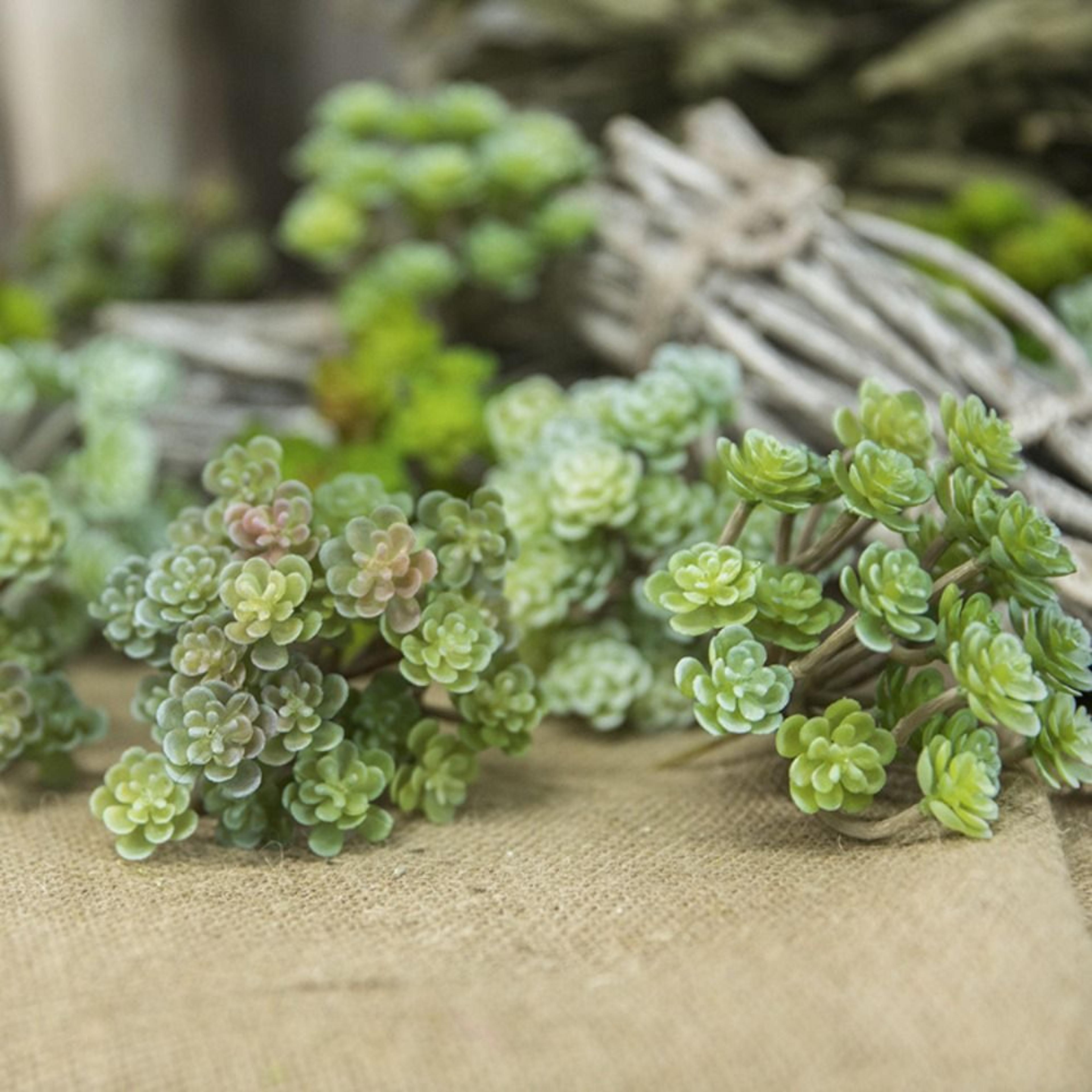 real touch mini artificial cactus, plastic succulent for micro landscape decor