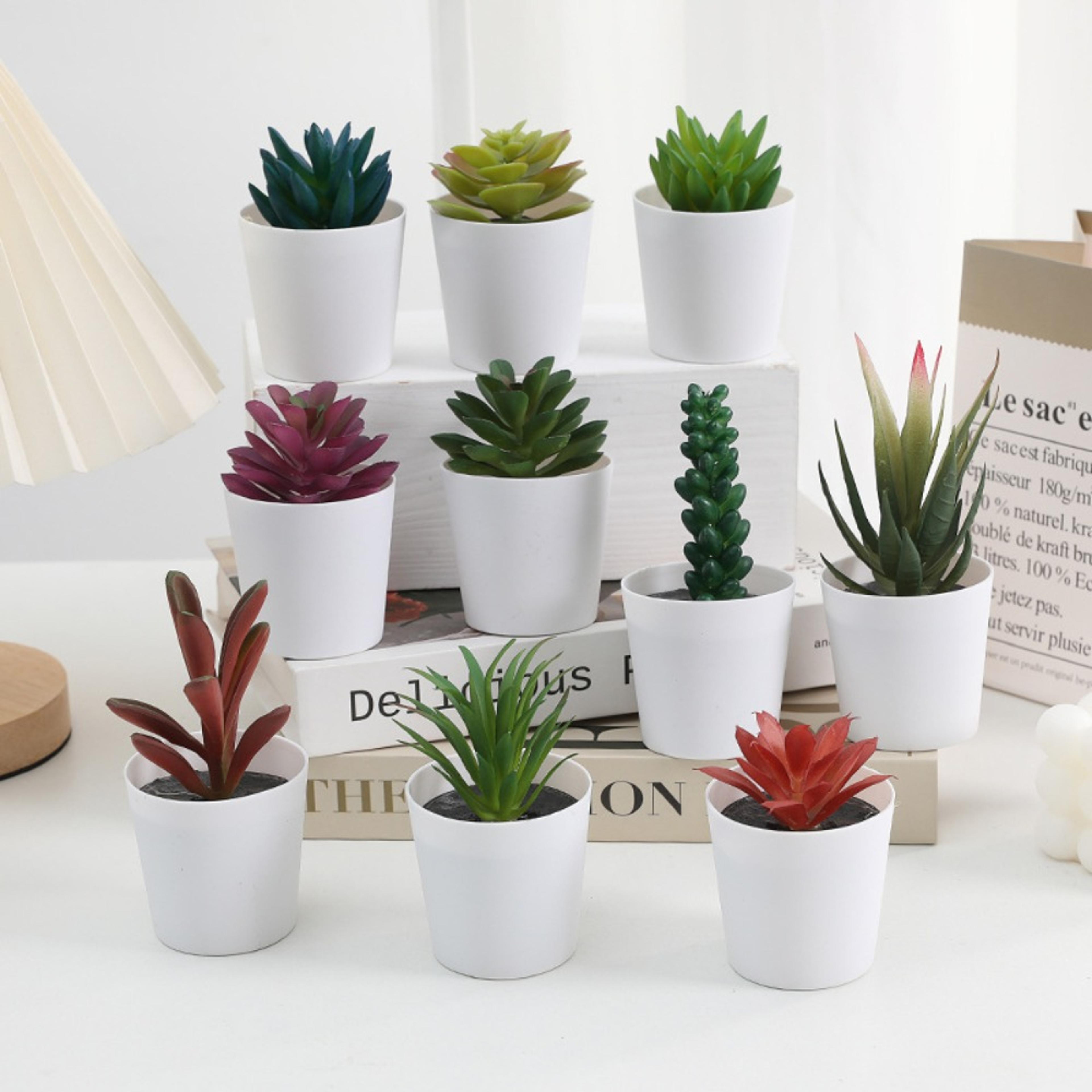 simulation succulents bonsai cactus, mini evergreen artificial succulent plants for decor