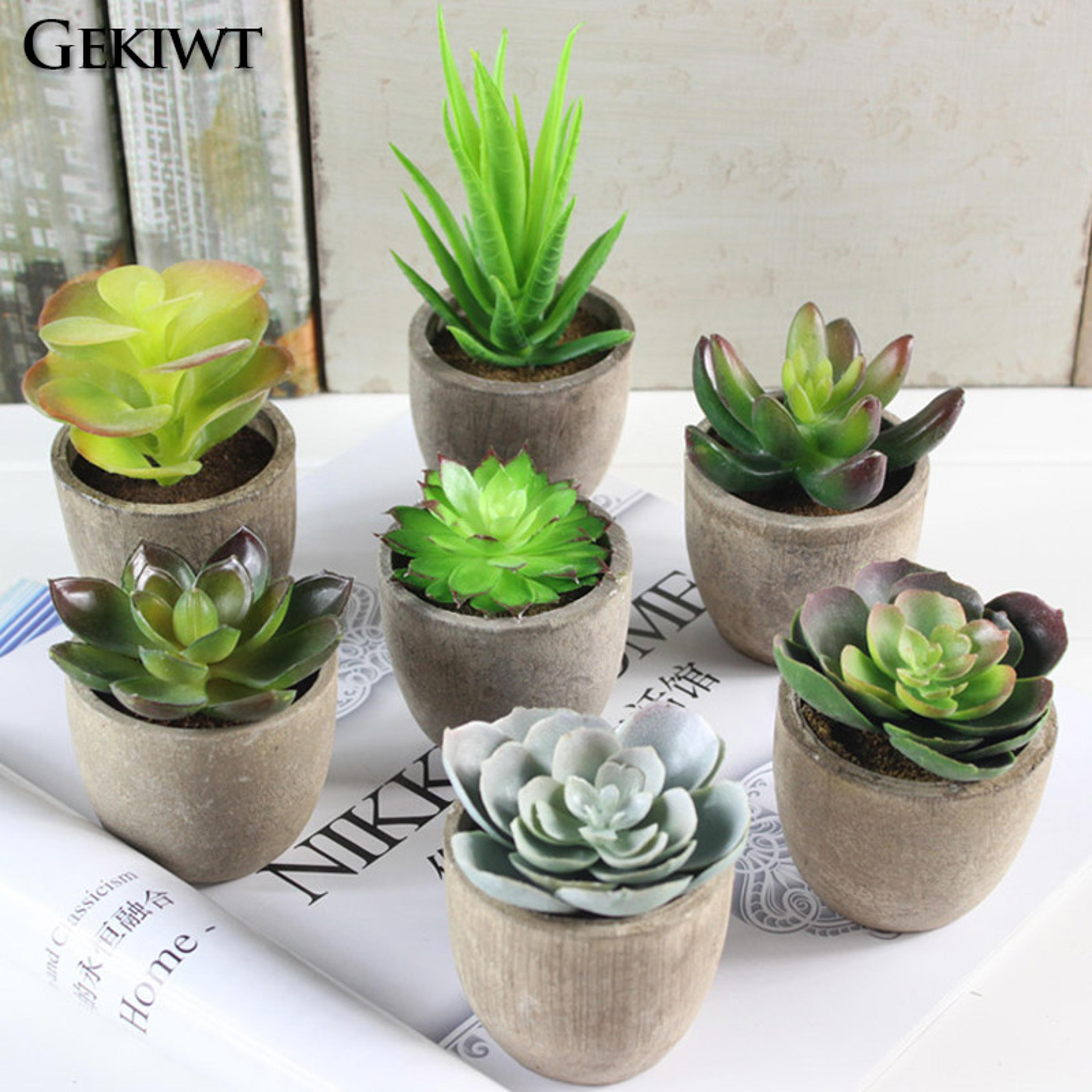 artificial succulent plants, mini evergreen fake tree pot, small decorative plants for office table and home garden deco