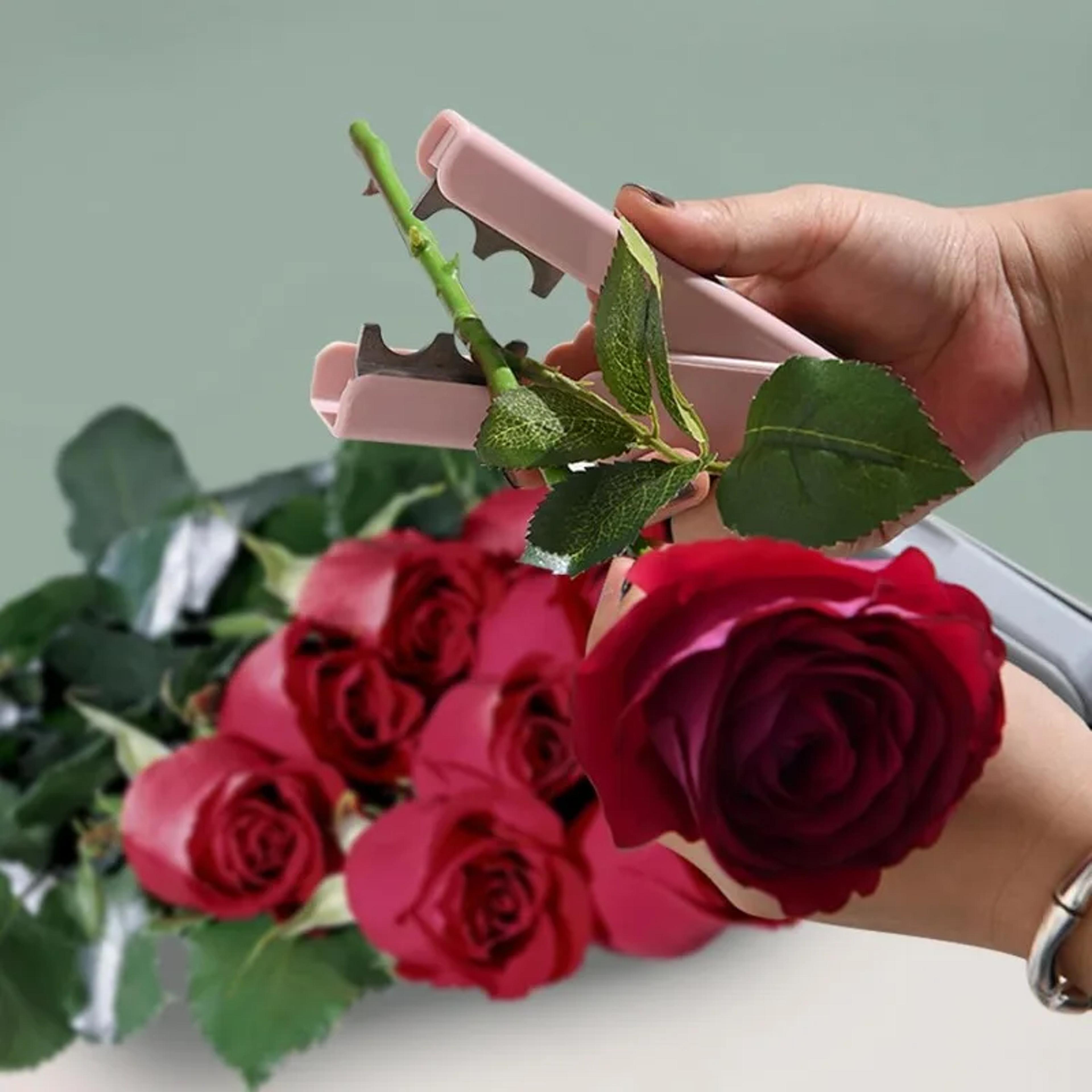 portable flower thorn stem leaf stripper rose pincers bonsai gardening tools