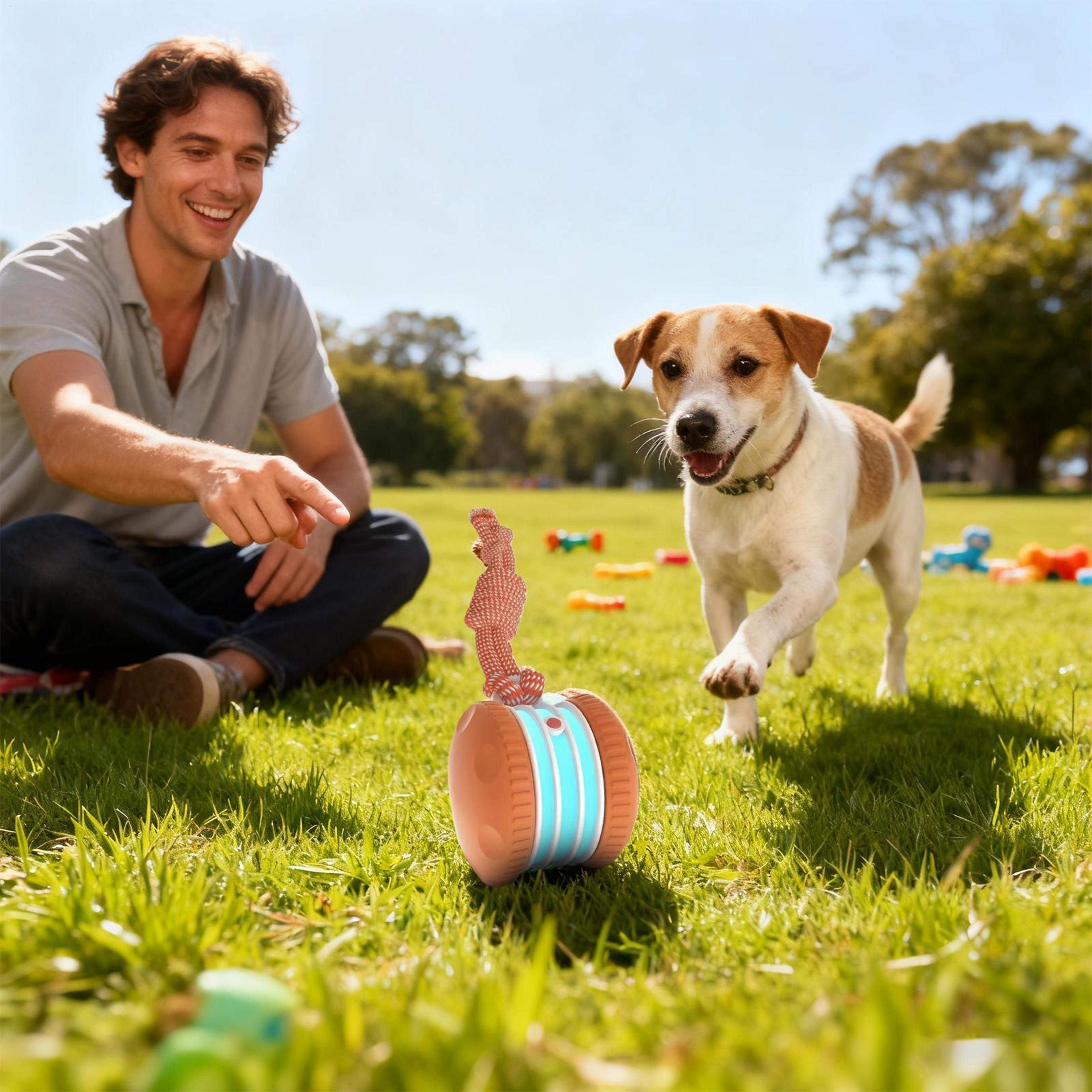 tail-equipped cat interactive ball, intelligent automatic rolling, self-entertainment pet toy for cats