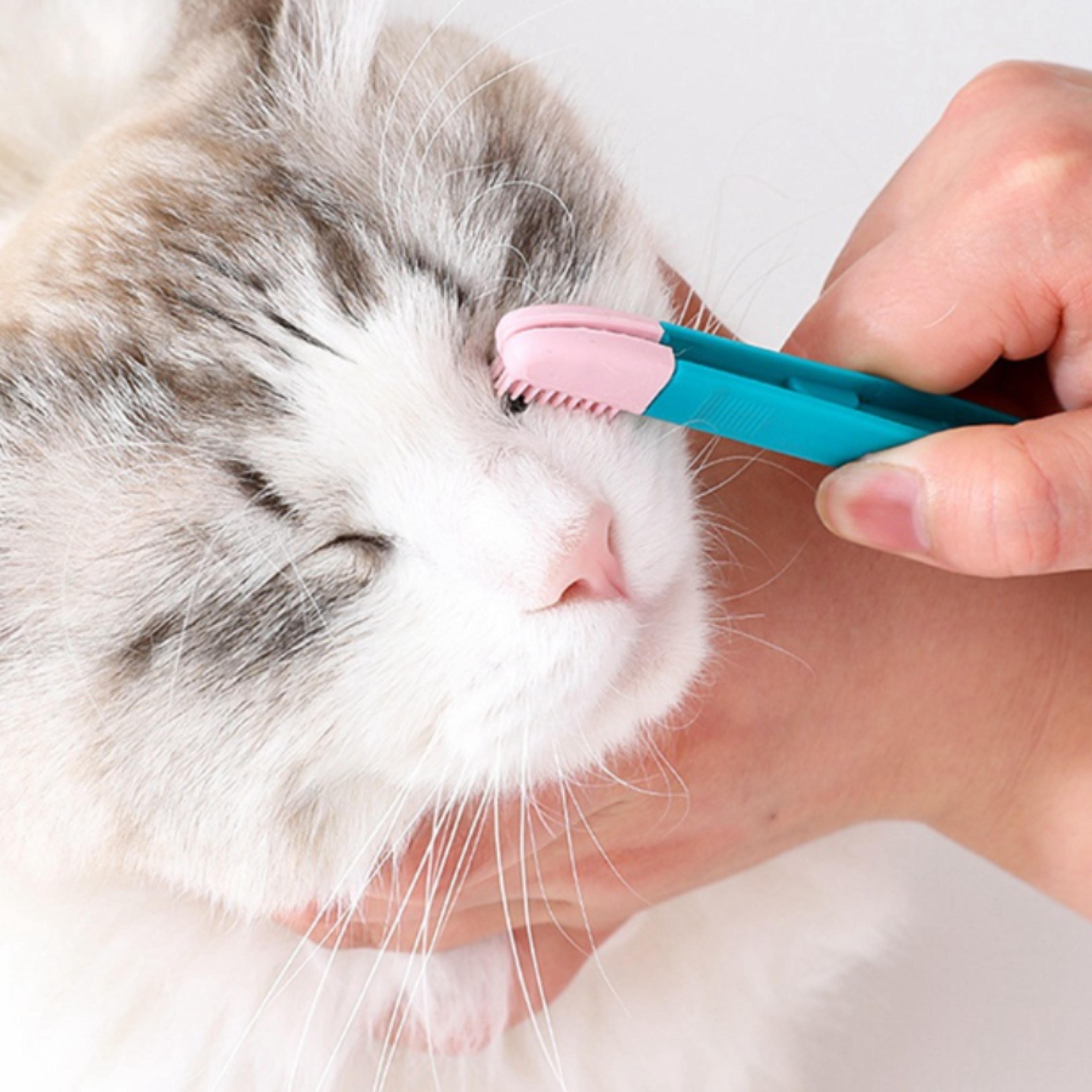 pet grooming comb for cats & dogs tear stain remover & cleaning brush for small pets