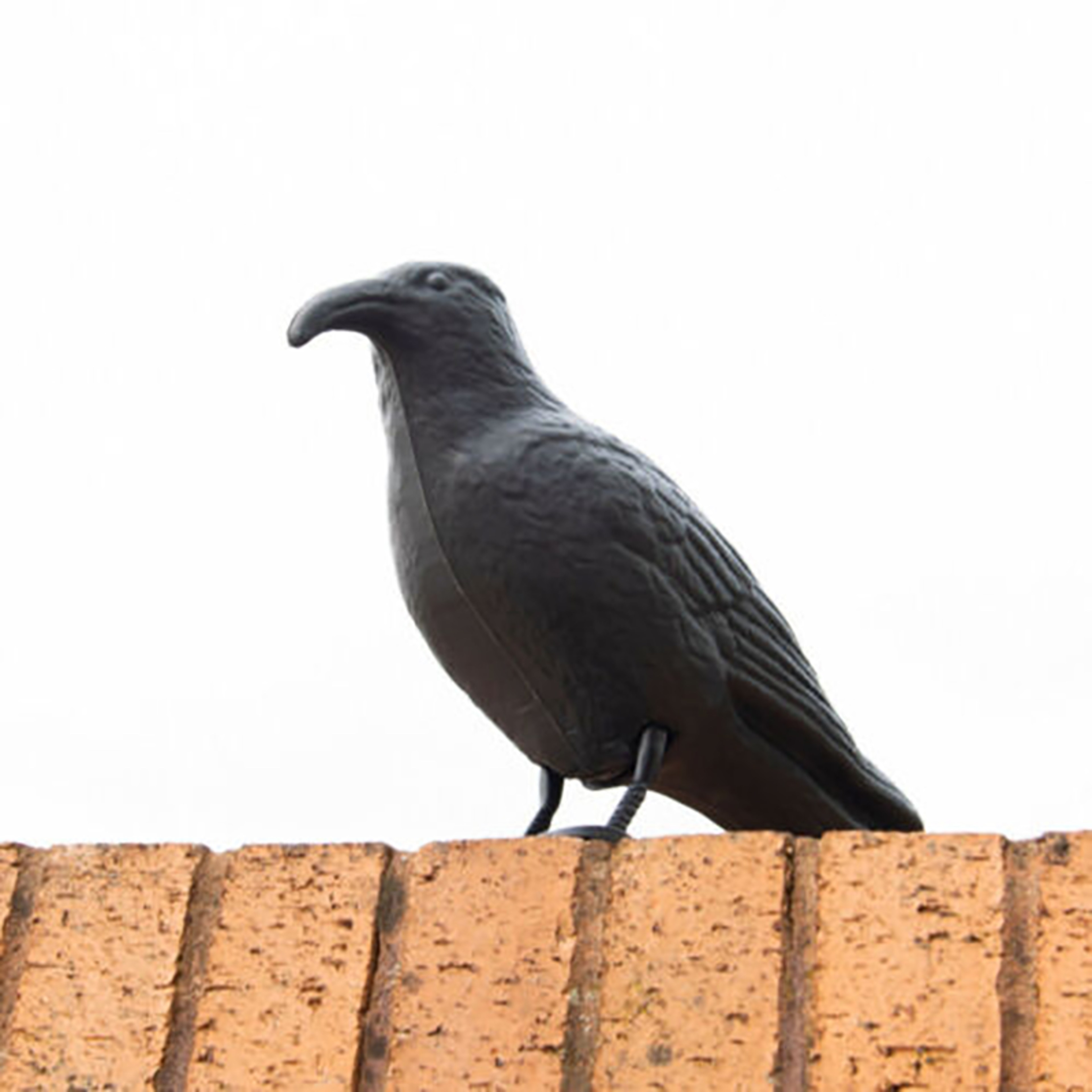 realistic crow scarer bird decor, lifelike plastic pigeon & crow for garden & yard protection