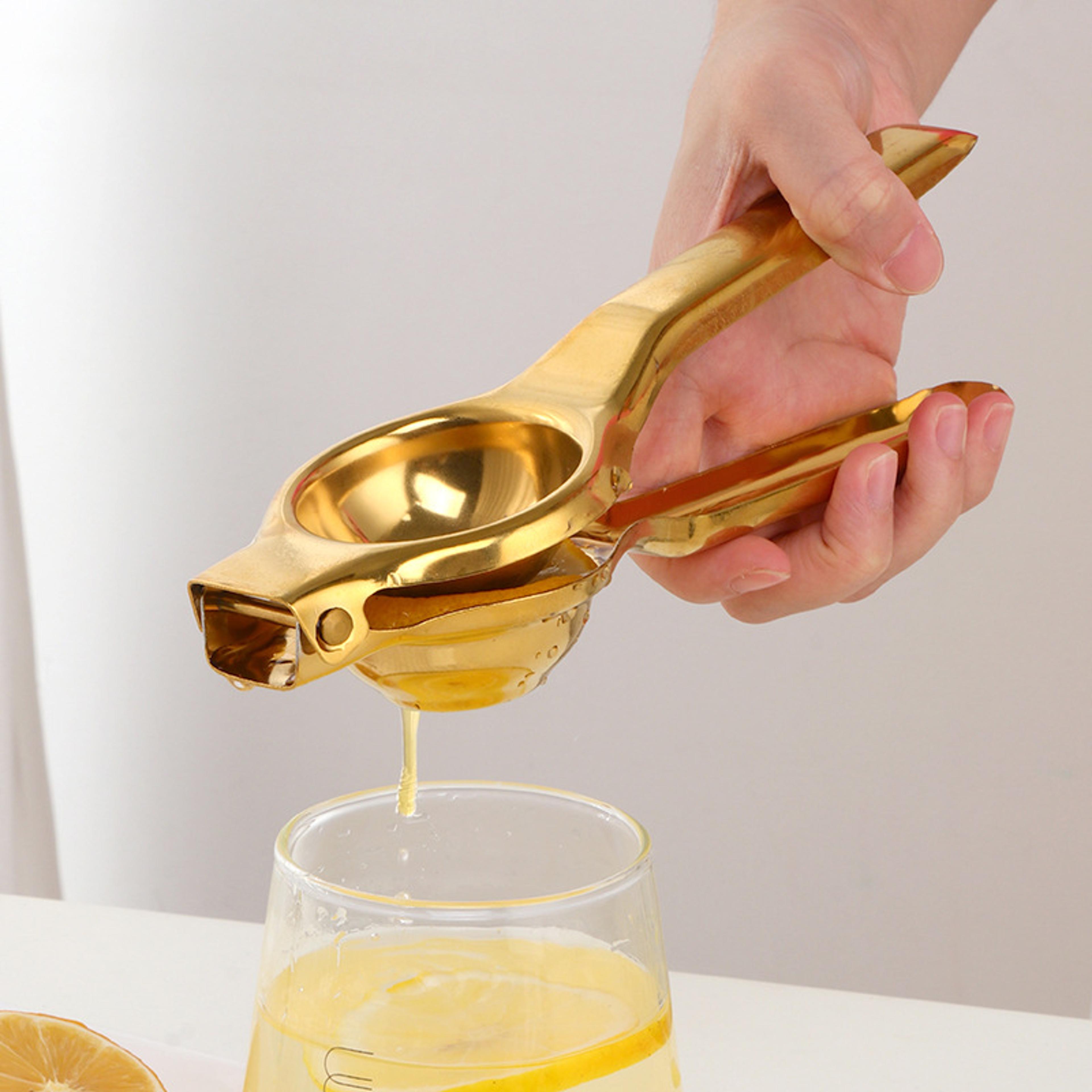 freshpress stainless steel lemon squeezer & manual citrus juicers