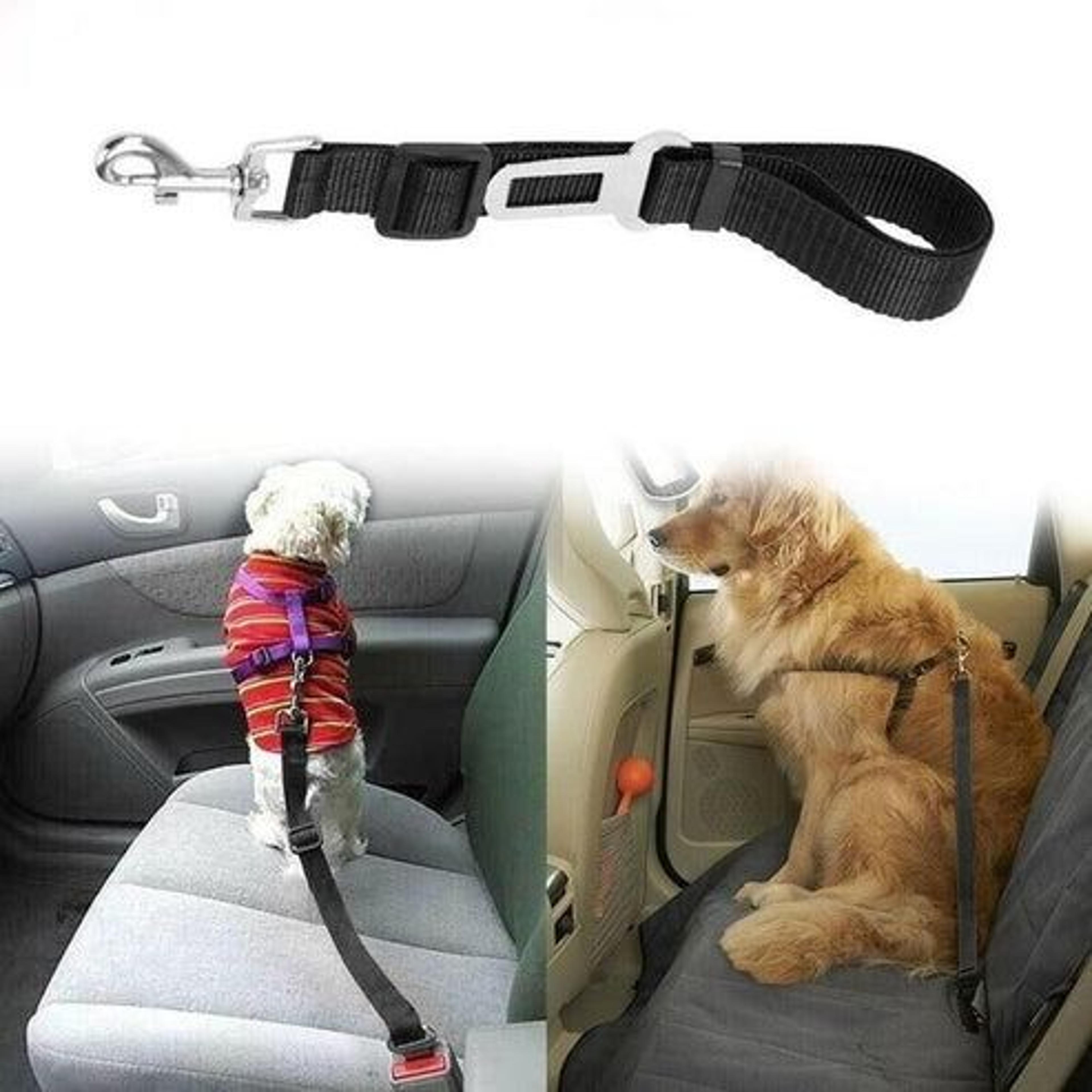 adjustable cat dog pet safety seatbelt, car vehicle seat belt harness lead, tangle-free, durable design for travel