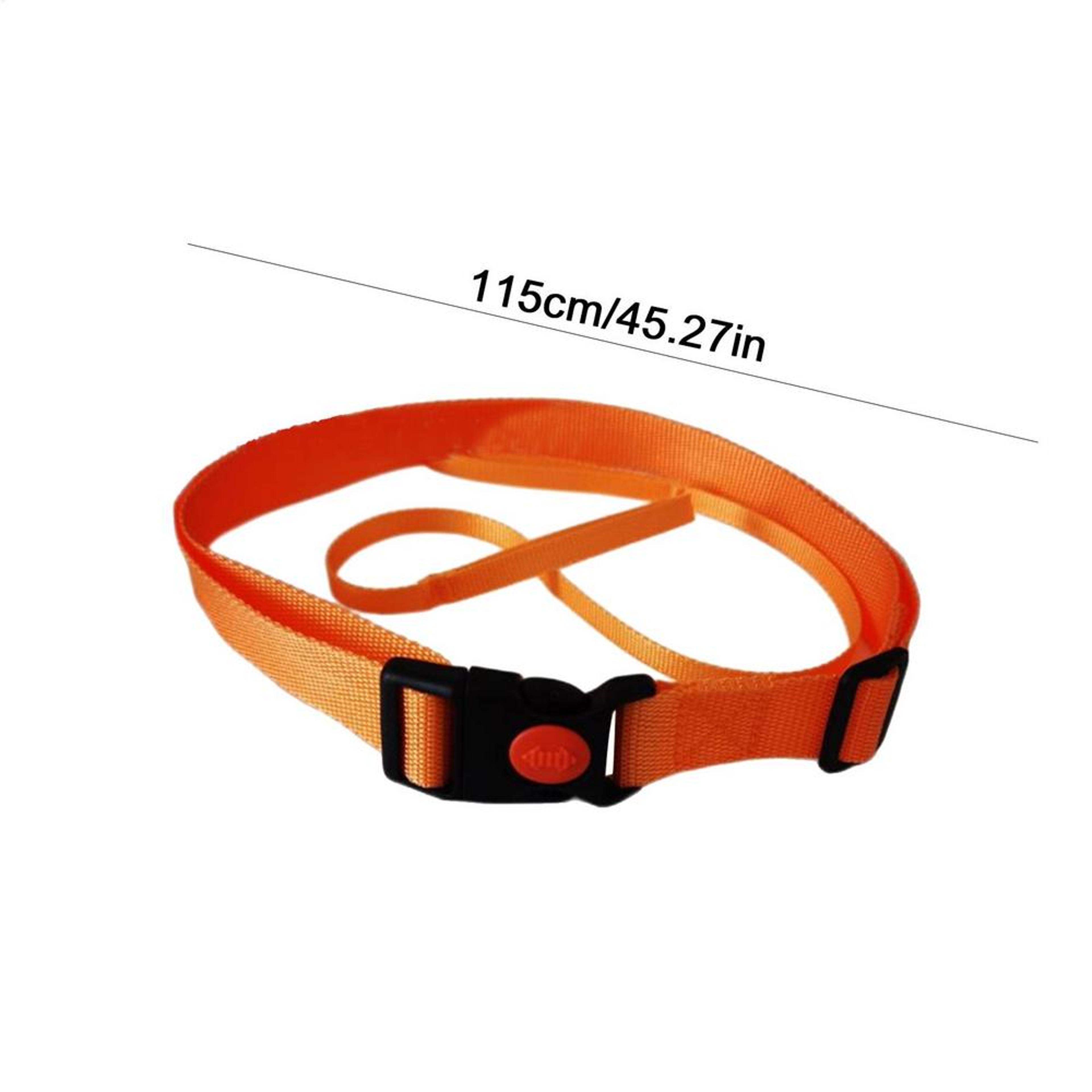 swim training belt resistance tether for stationary pool swimming and endurance workouts