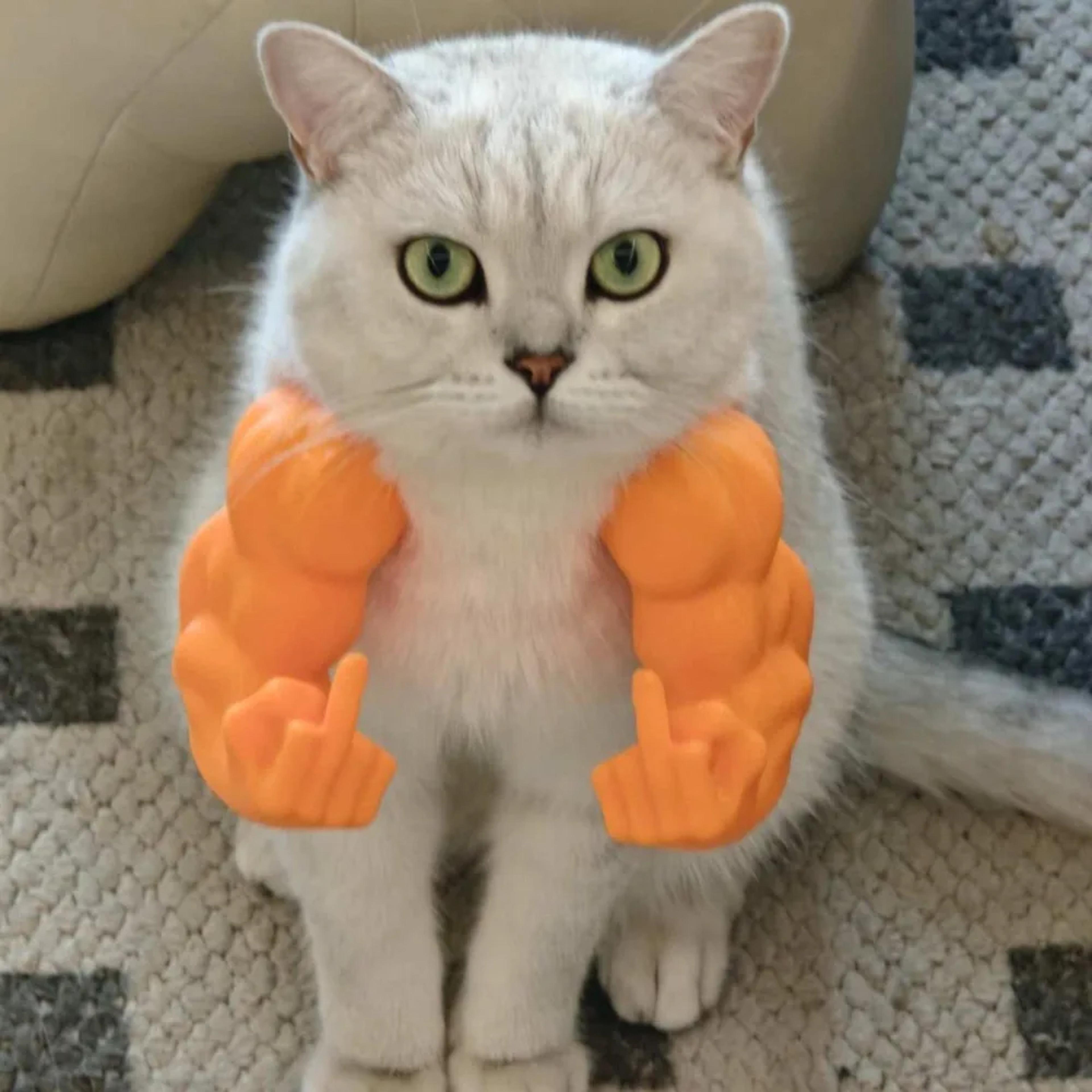 funny cat muscle arms printed pet accessories & cosplay costume prop