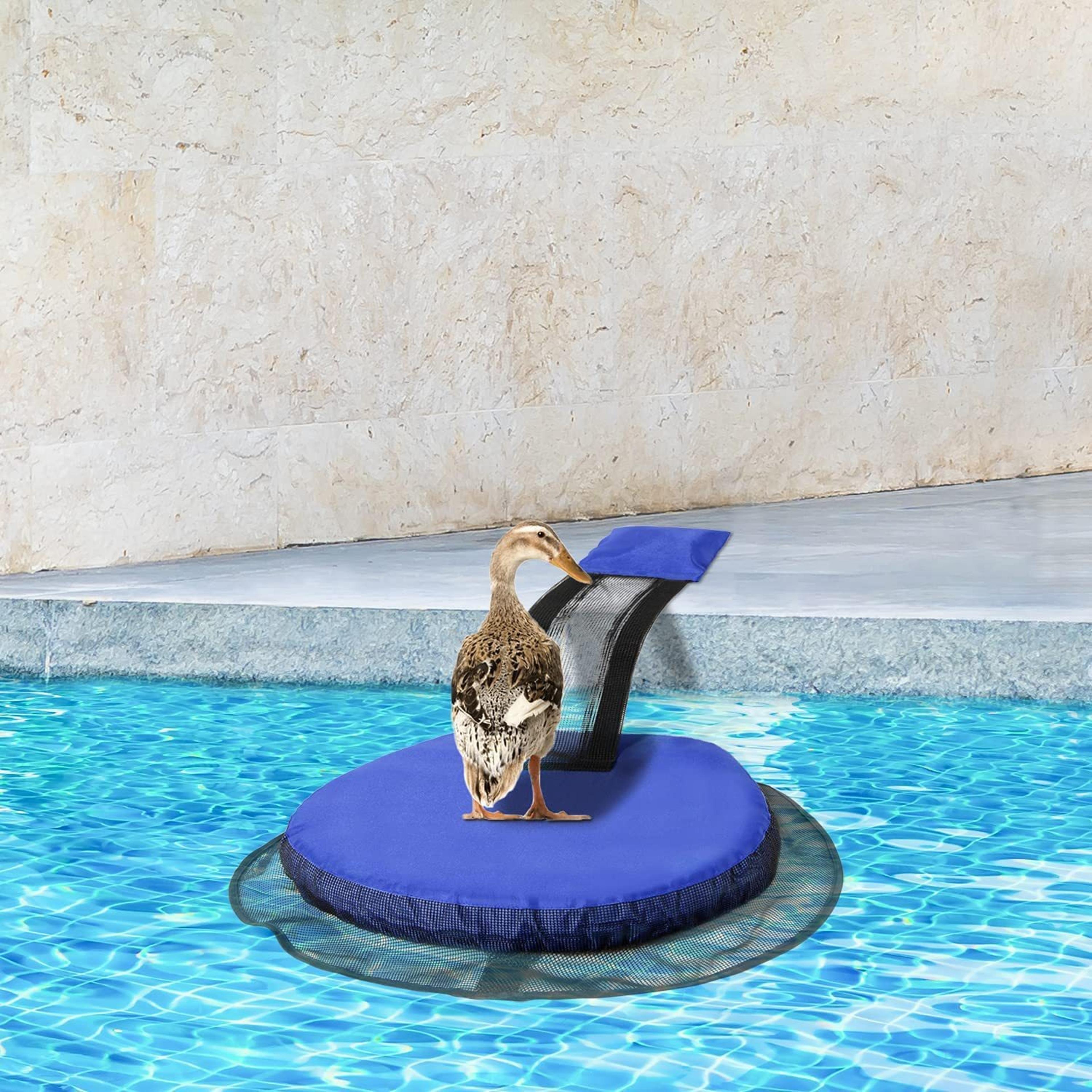 frog escape ramp for pool wildlife saving animal rescue mat & clean water pool accessories