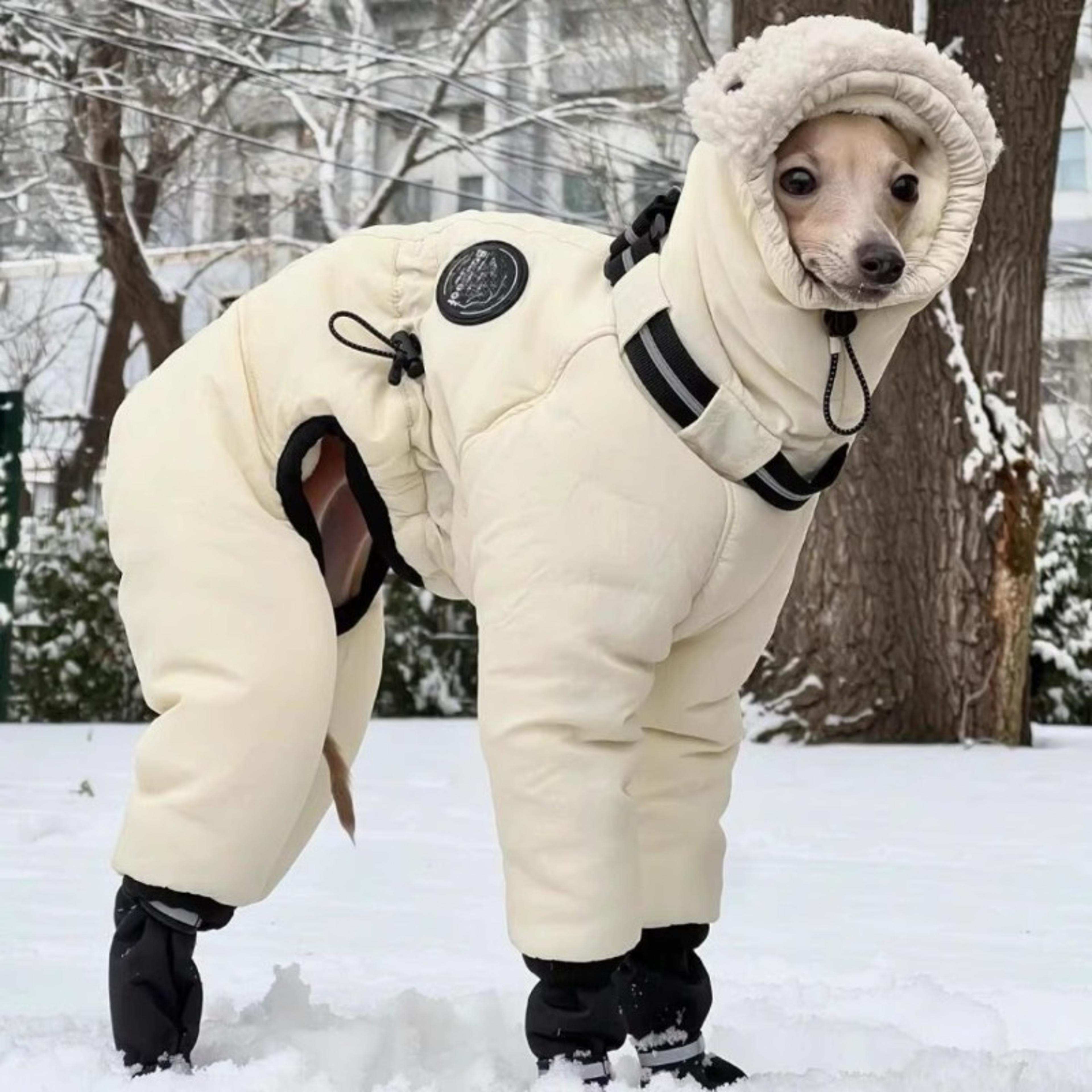 warm greyhound winter coat for medium & large dogs cotton cold weather jacket