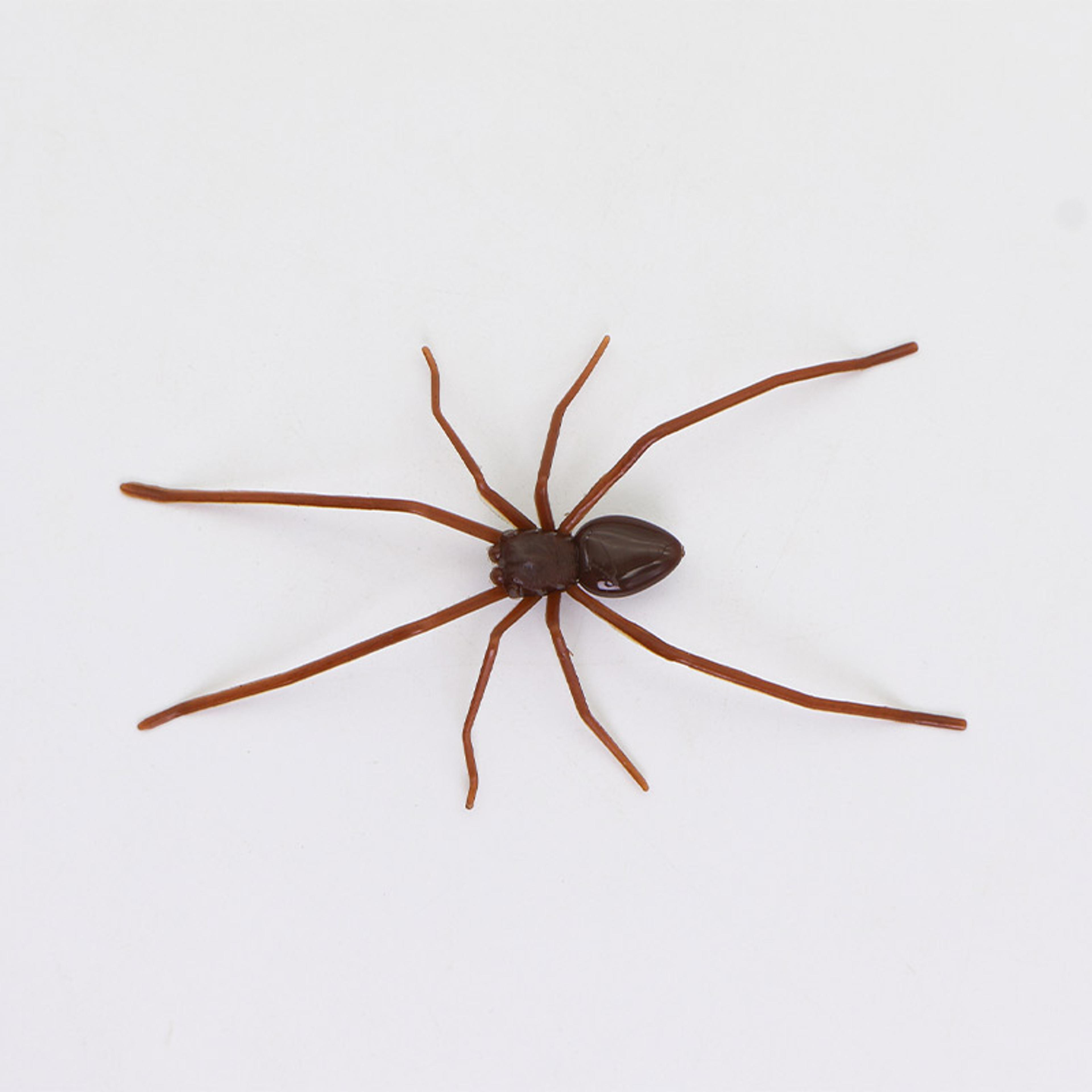 realistic spider fridge magnet halloween decoration and novelty prank decor