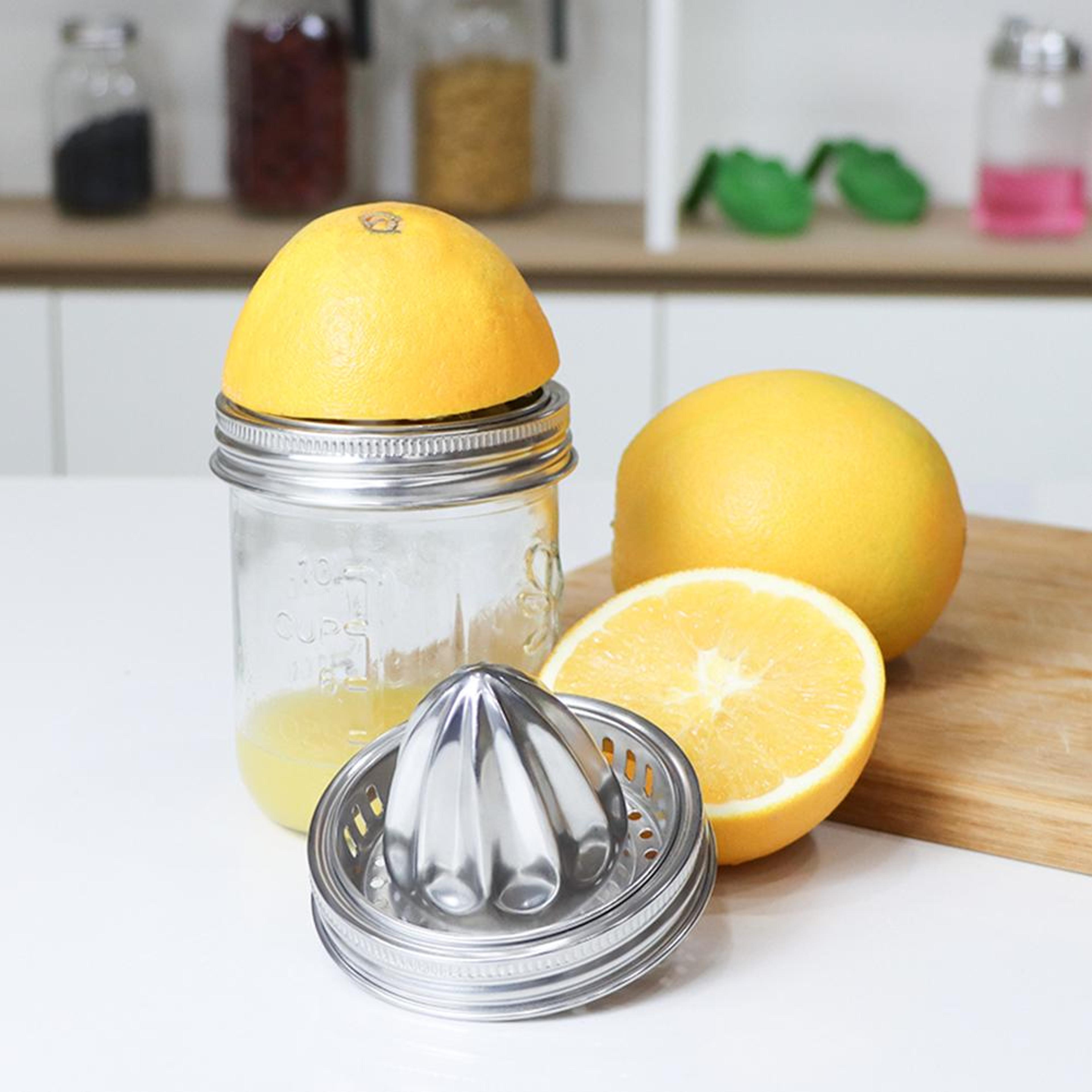 stainless steel manual citrus juicer for lemons and oranges