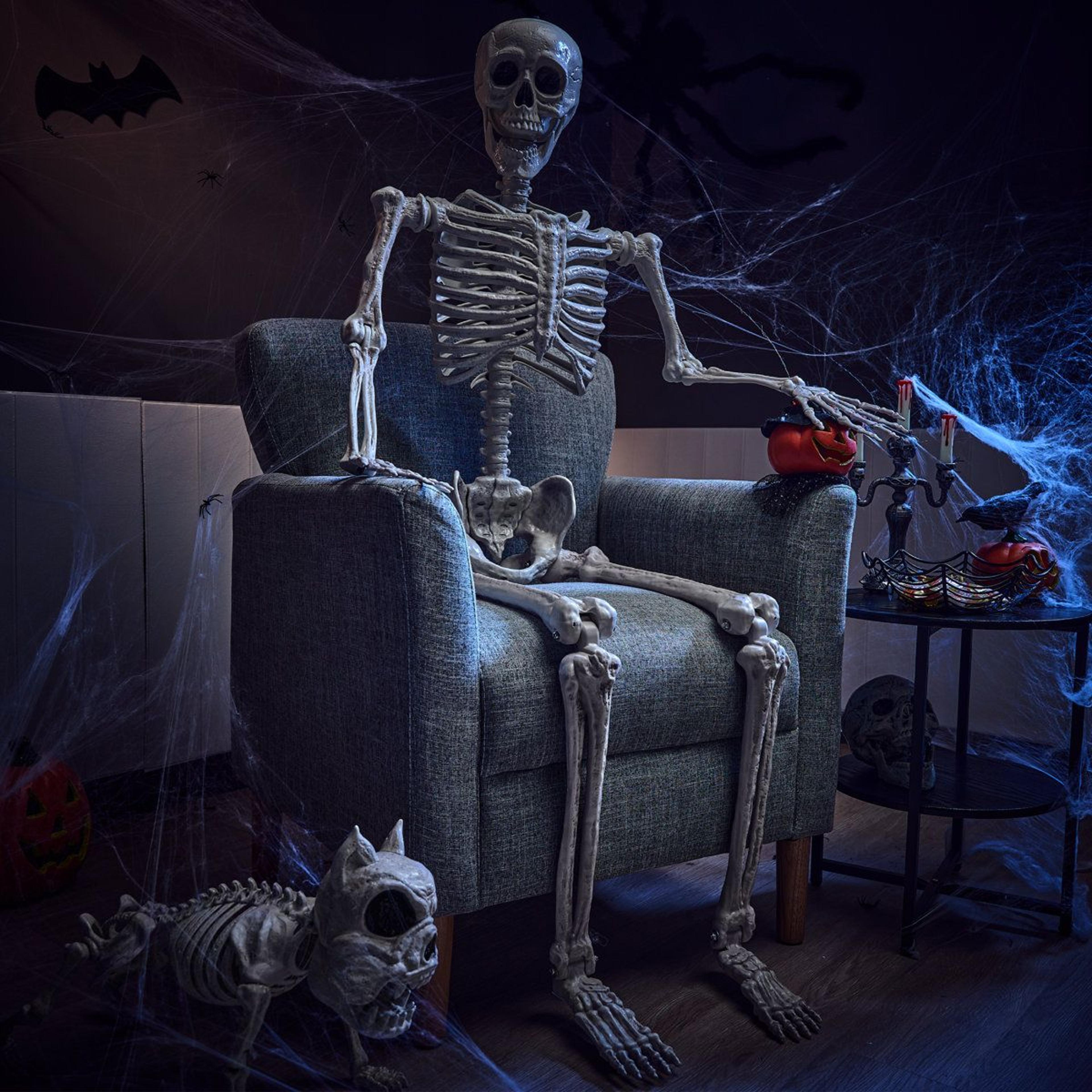 life size posable halloween skeleton with movable joints for indoor outdoor decor