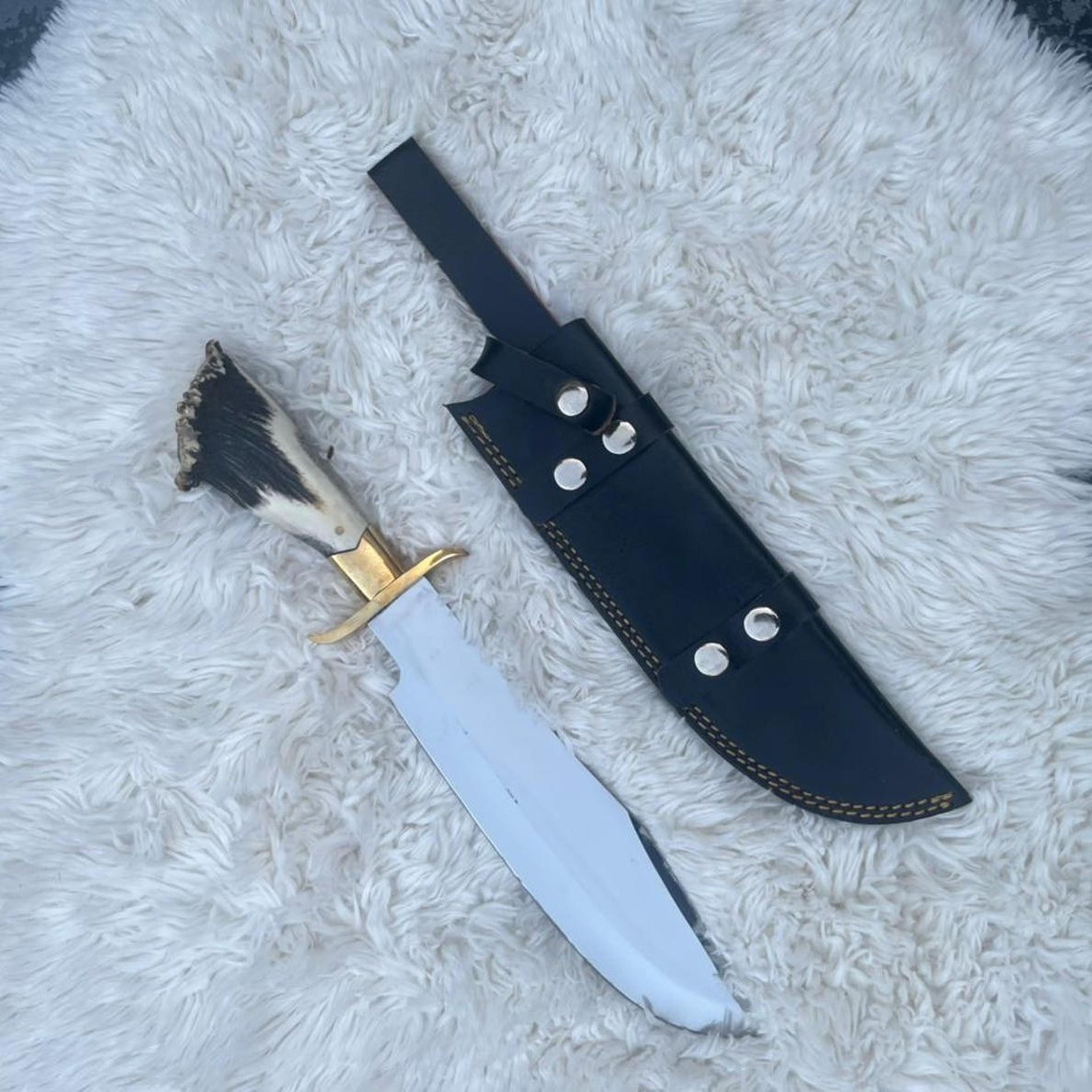 15in stag horn bowie knife with polished steel blade, brass guard & black leather sheath