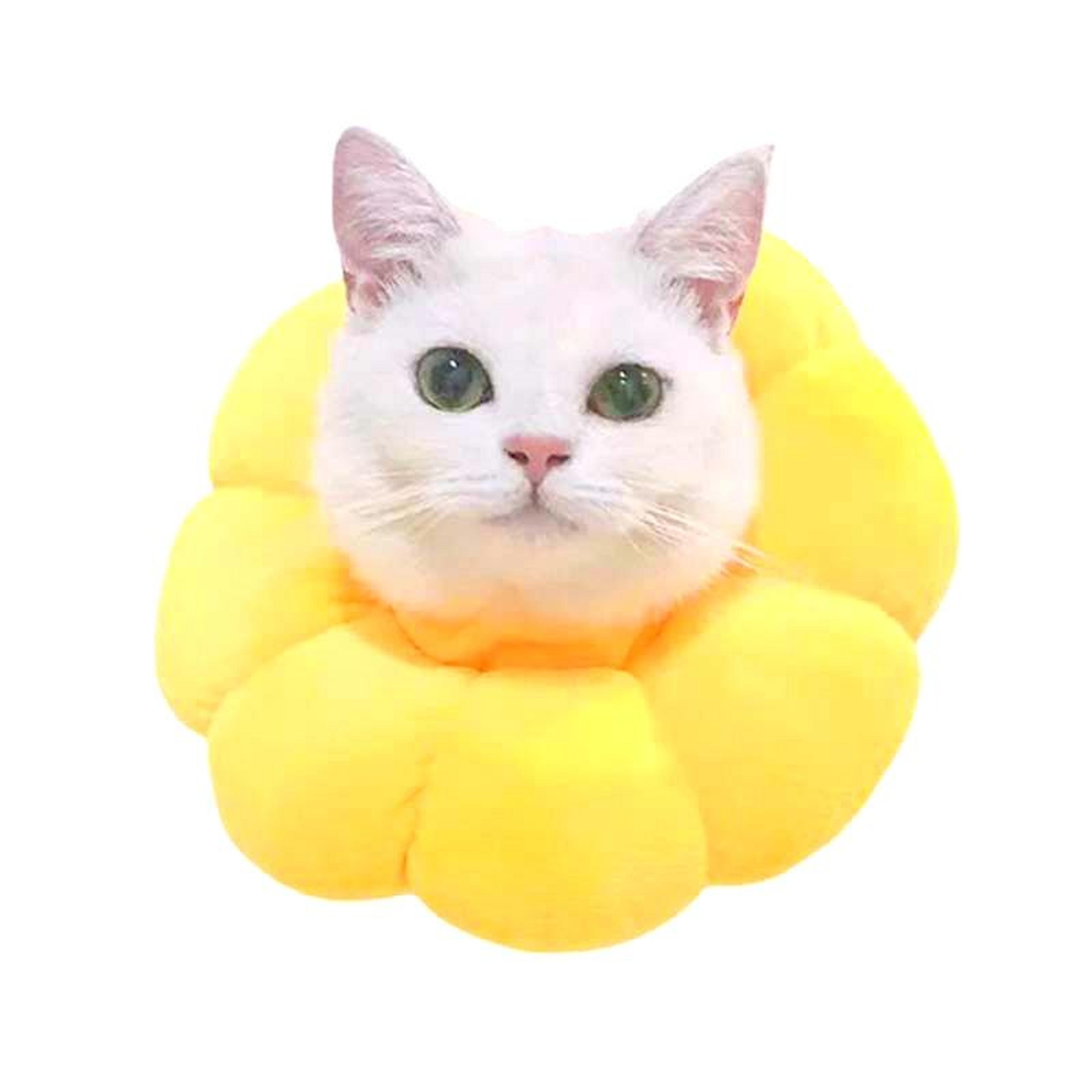 soft cat recovery collar anti bite ring for cats and small dogs