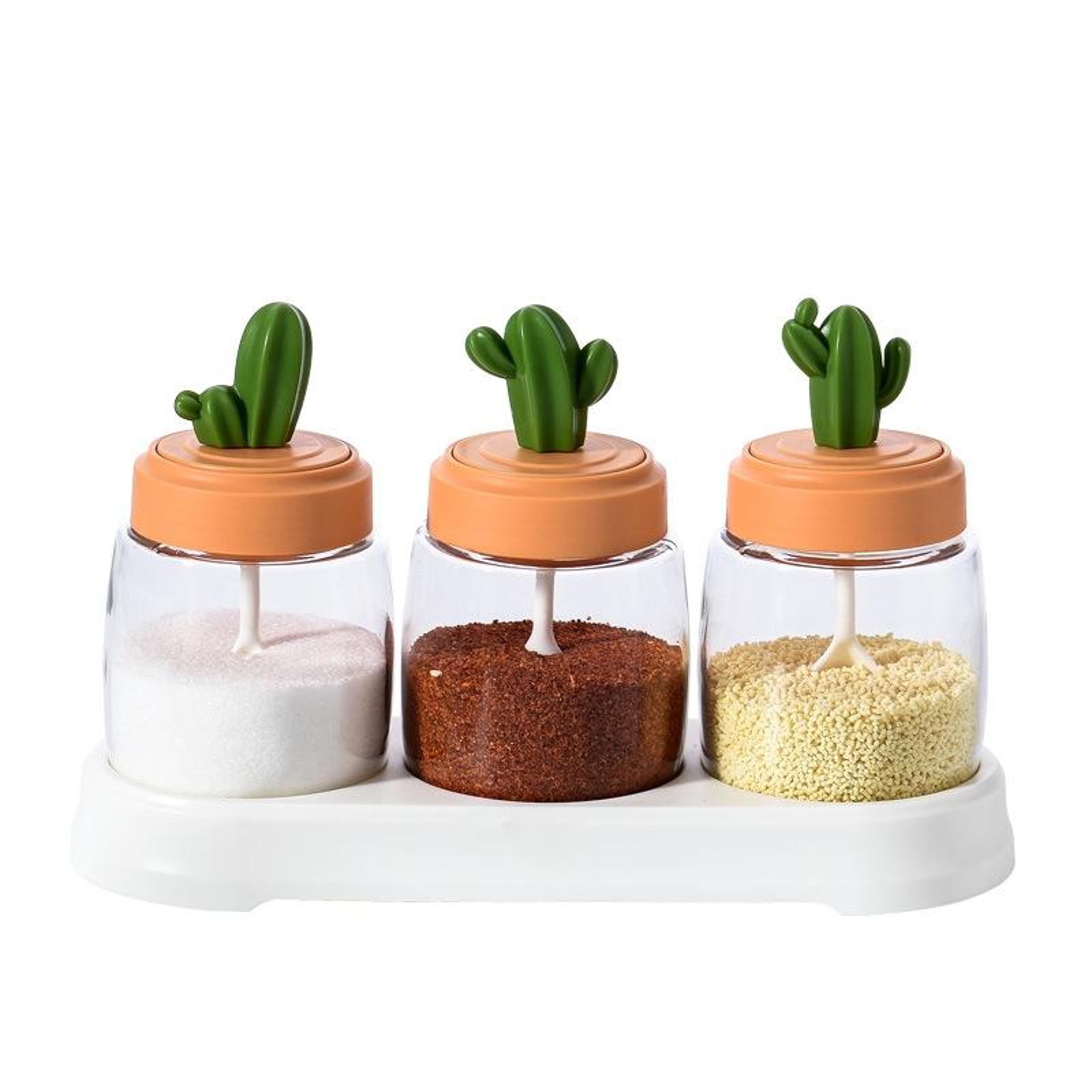 cactus layered kitchen seasoning bottle set spice organizer