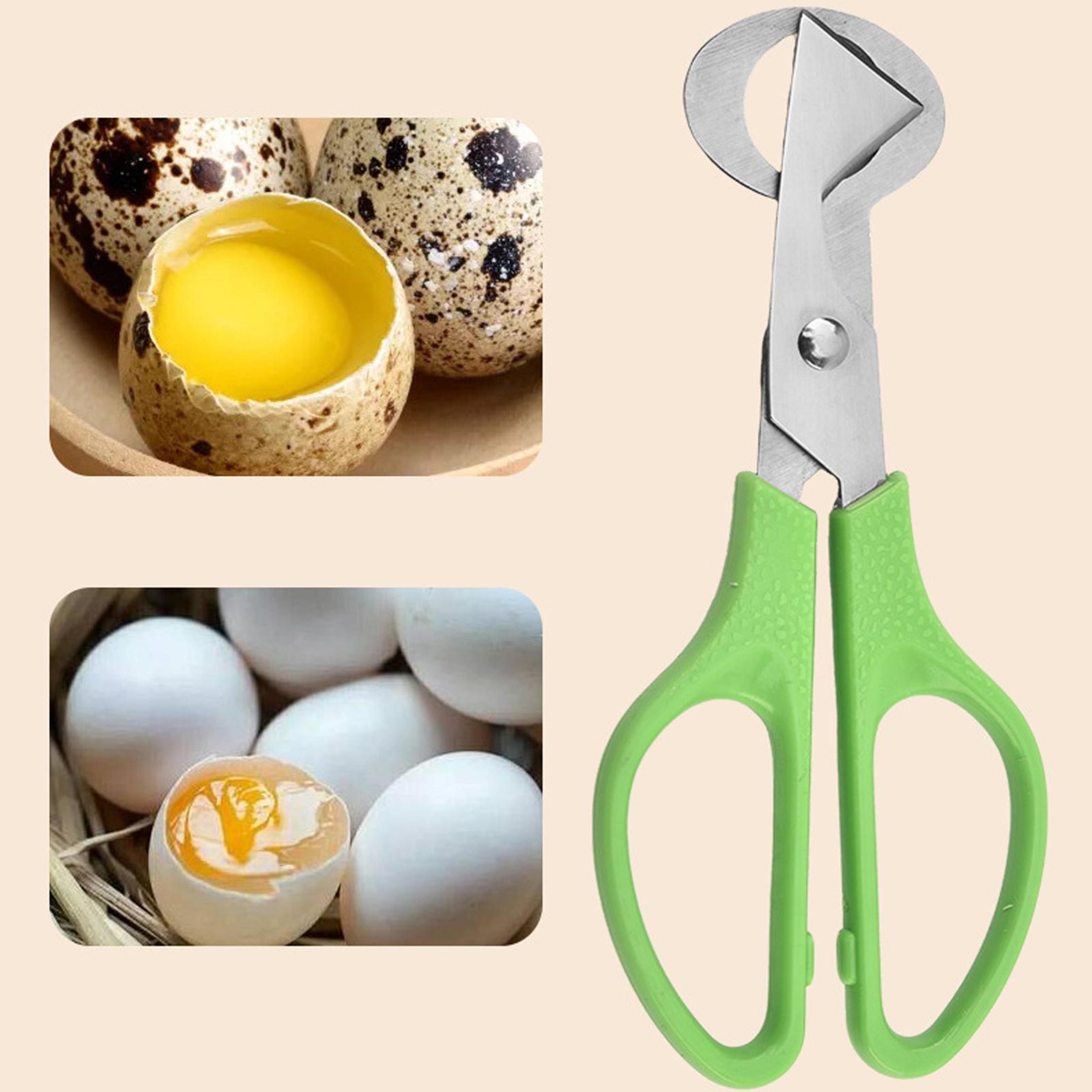 premium stainless steel quail egg scissors & precision egg cutter tool