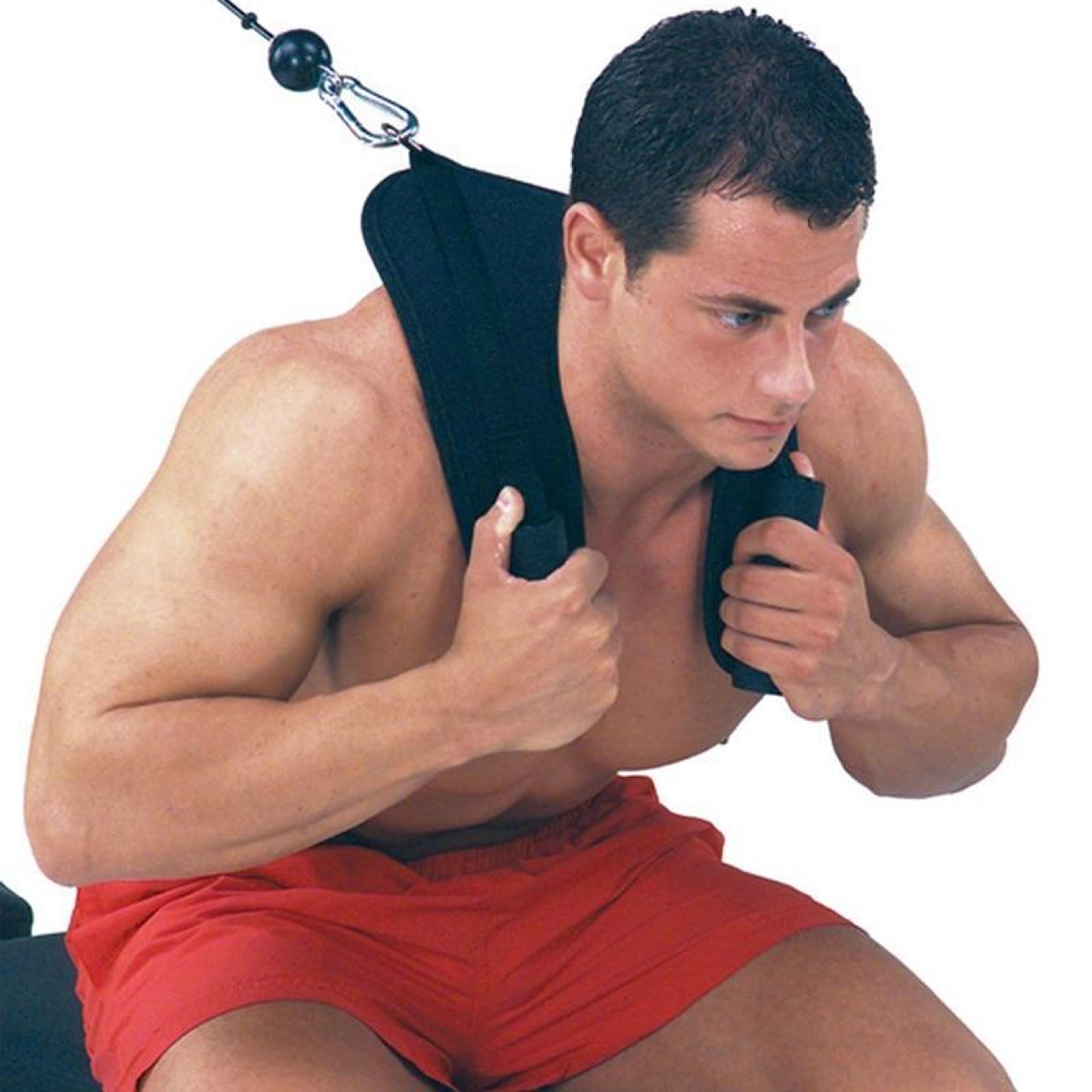 shape back support strap for core & posture correction
