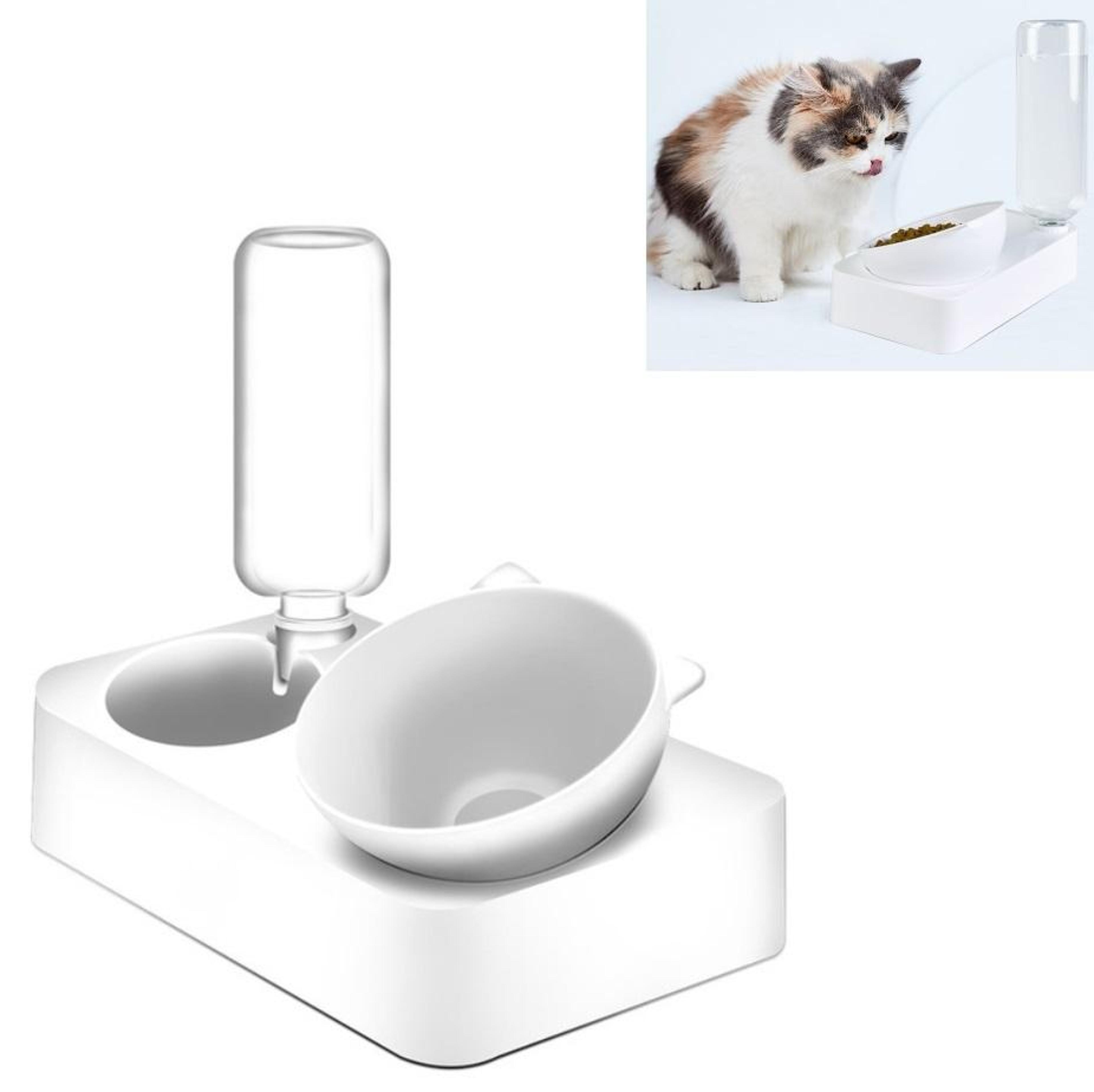 anti tip automatic pet water bowl & feeding station for dogs and cats