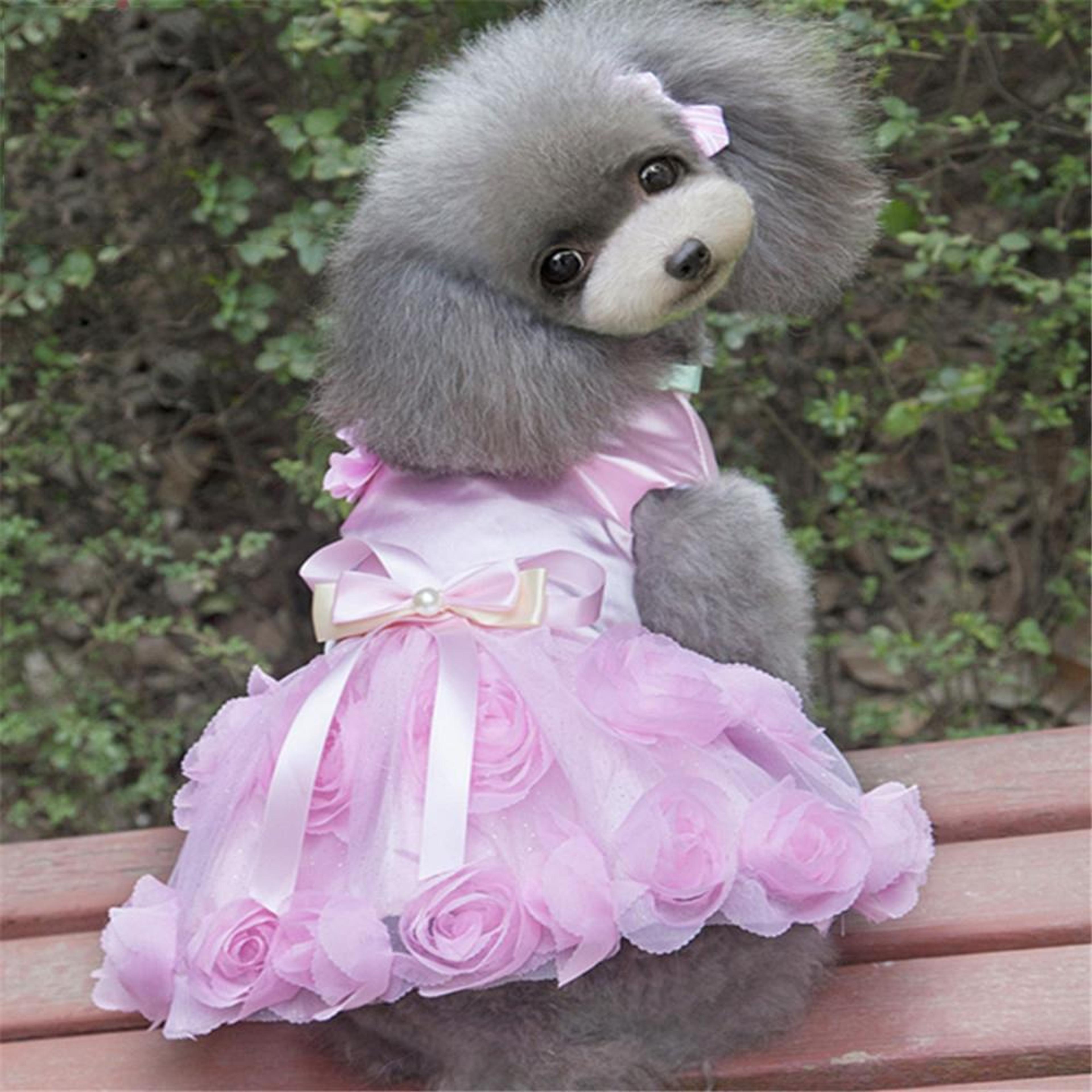 pet princess rose dress for small dogs lightweight summer outfit