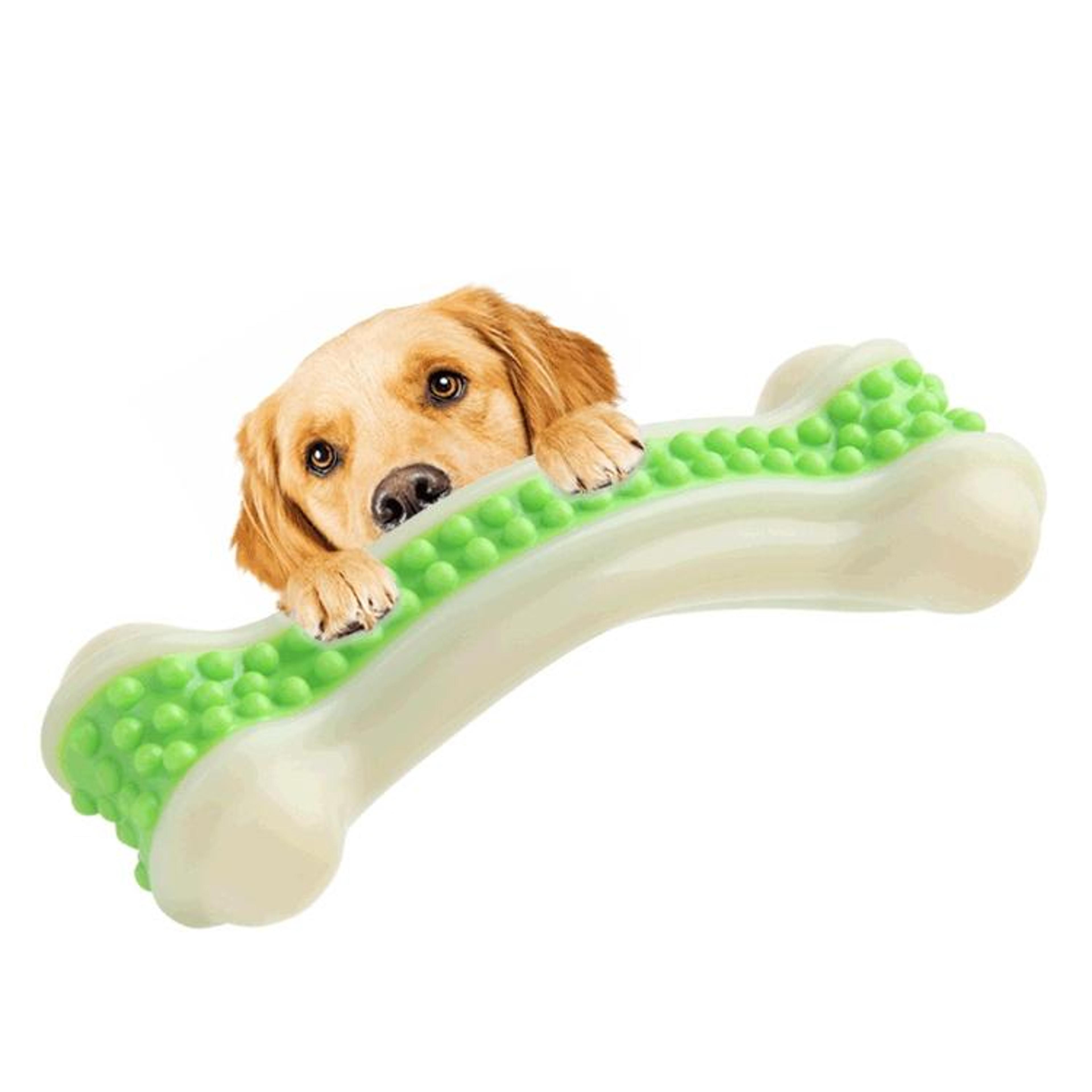 premium meat flavored nylon dog chew bone durable dental chew toy for medium dogs