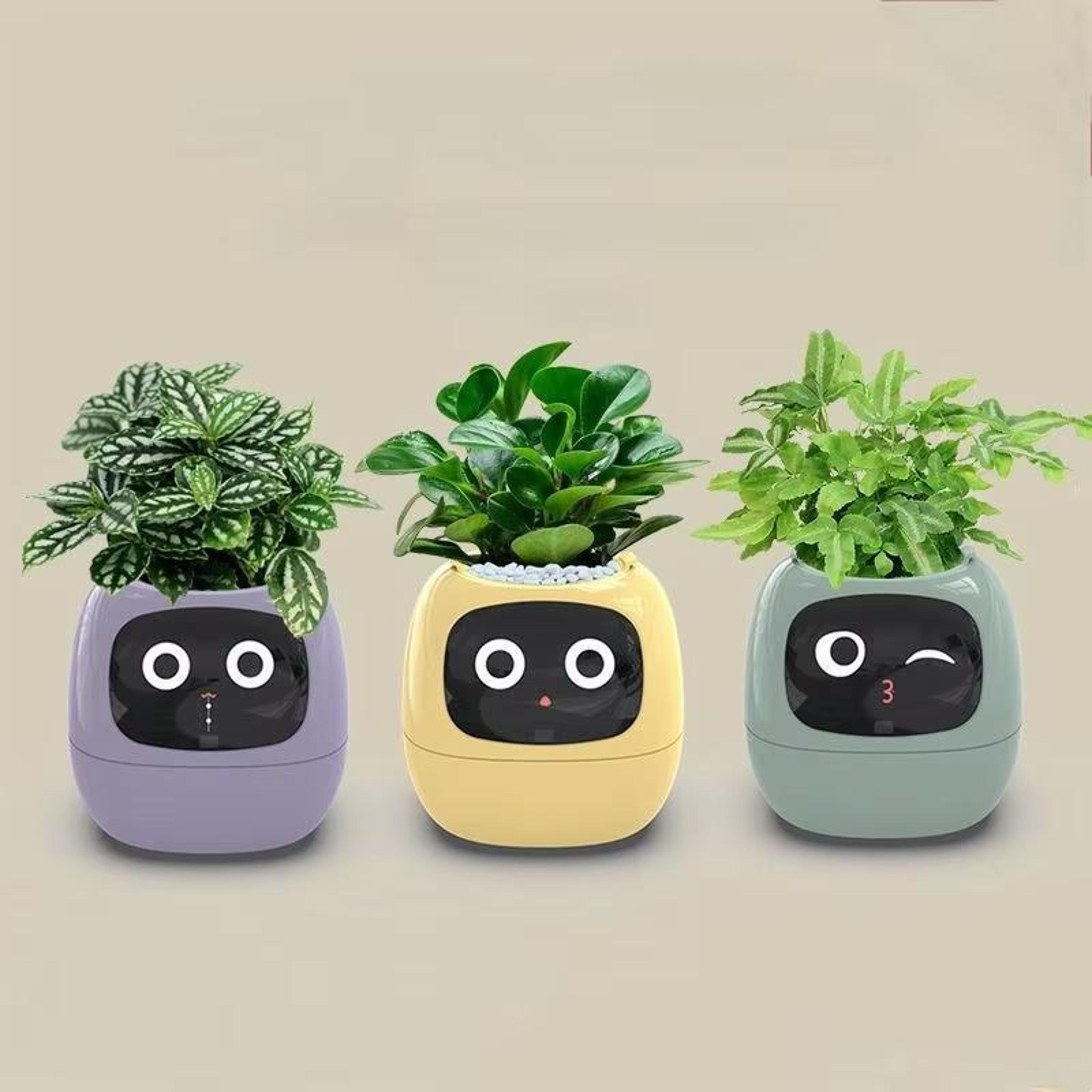 smart wifi plant pot with multi sensor monitor & screen compatible