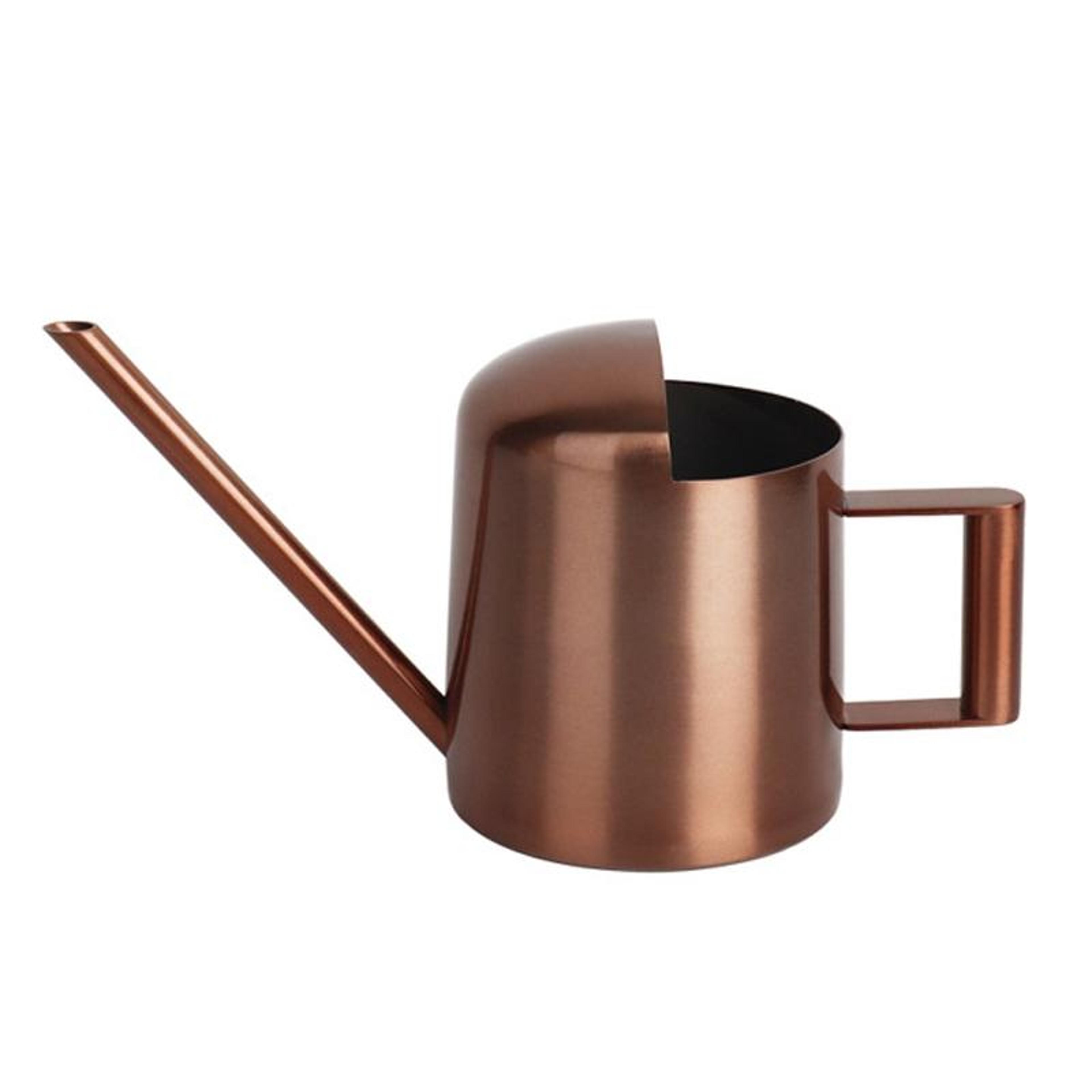 premium stainless steel watering can with precision long spout for indoor plants