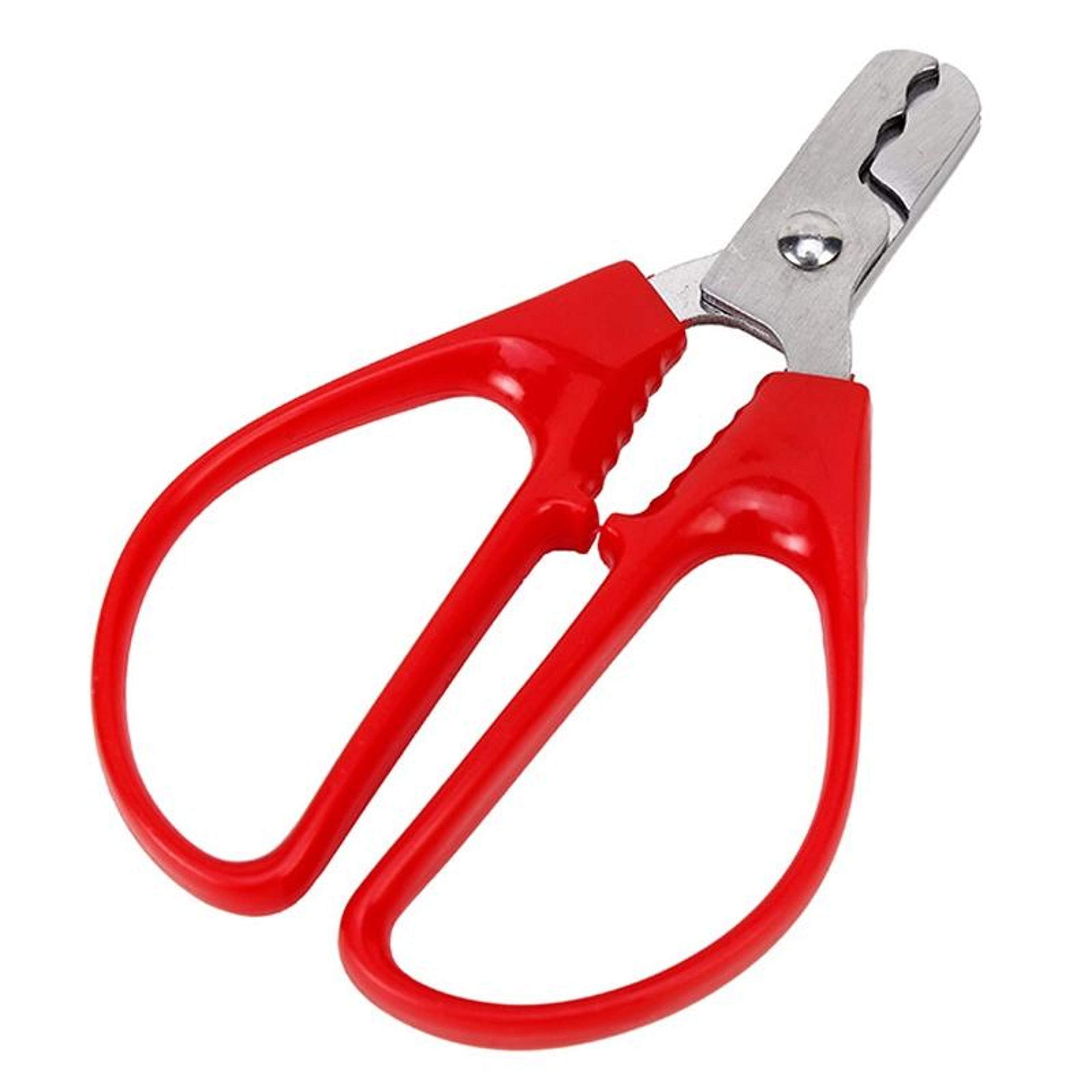 stainless steel peanut sheller nut cracker tool for pine nuts melon seeds and small nuts
