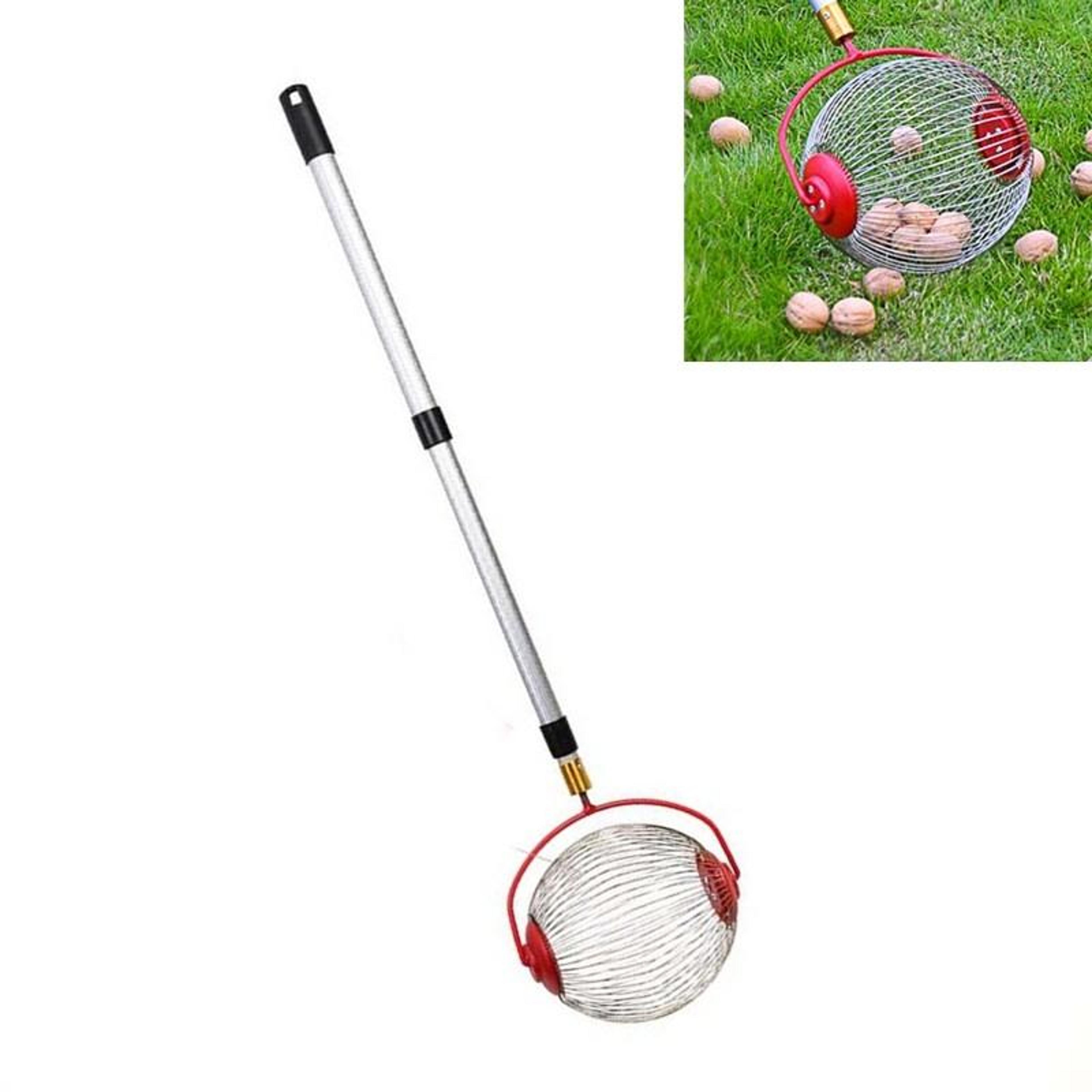 telescopic nut picker tool rolling fruit picker roller for walnuts chestnuts and garden harvesting