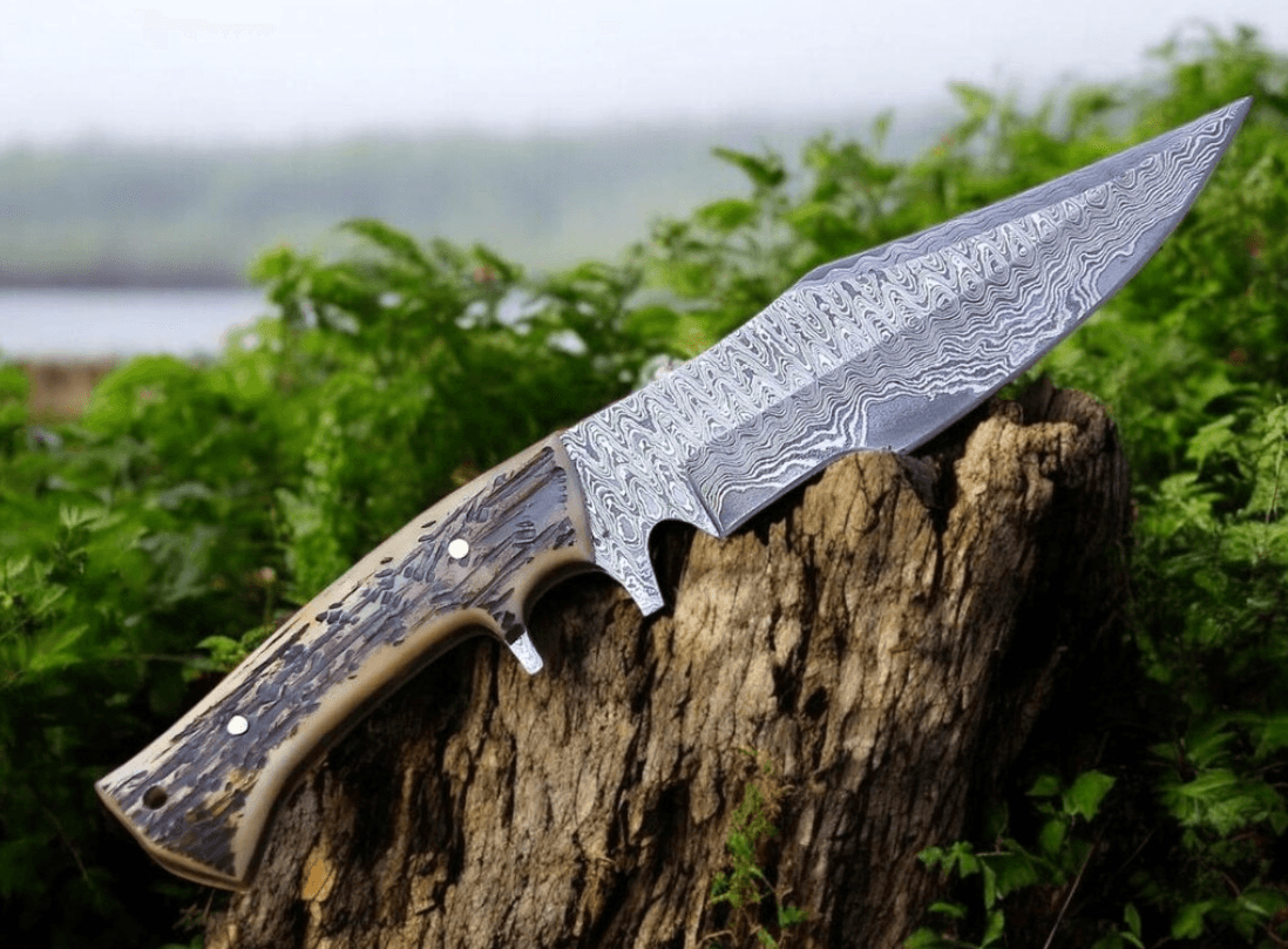 damascus hunting knife | stainless steel outdoor blade | shop stag handle engraved knife | bg gift