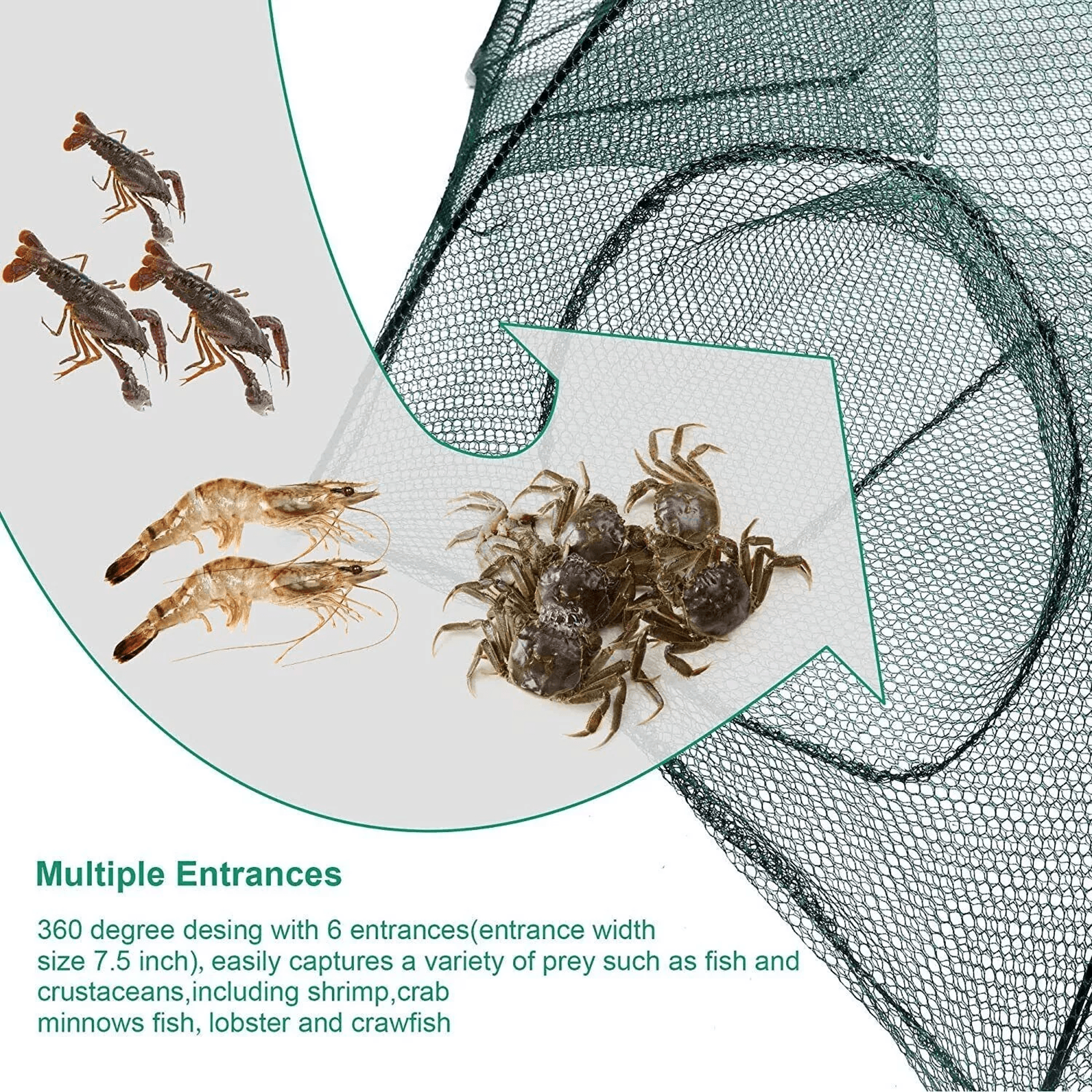 foldable fishing bait trap net for crab, crawdad, shrimp, fish, minnow - portable cast dip cage, easy to use & convenien