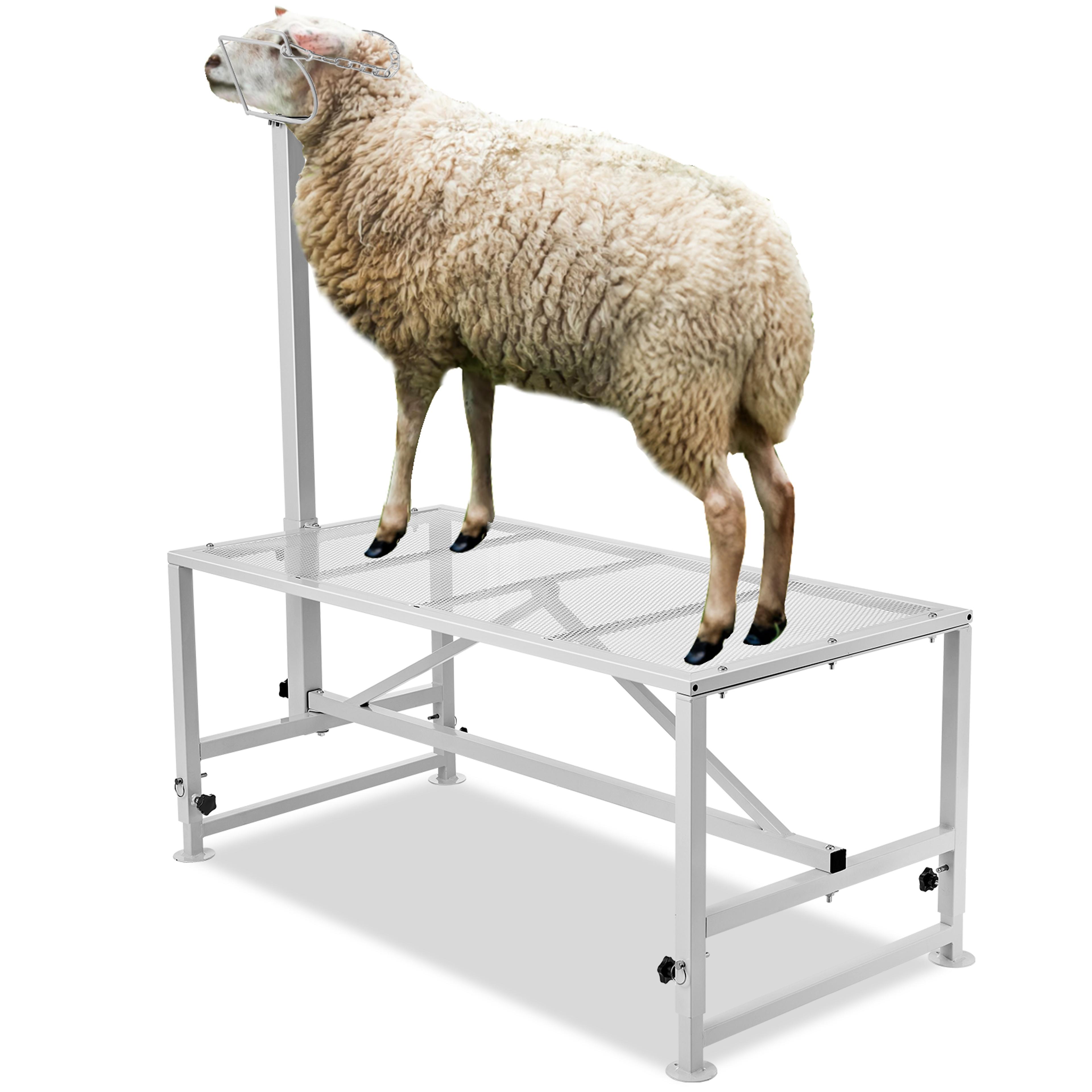 goat & sheep stand livestock stand, adjustable height metal livestock milking and shearing stand for farm use