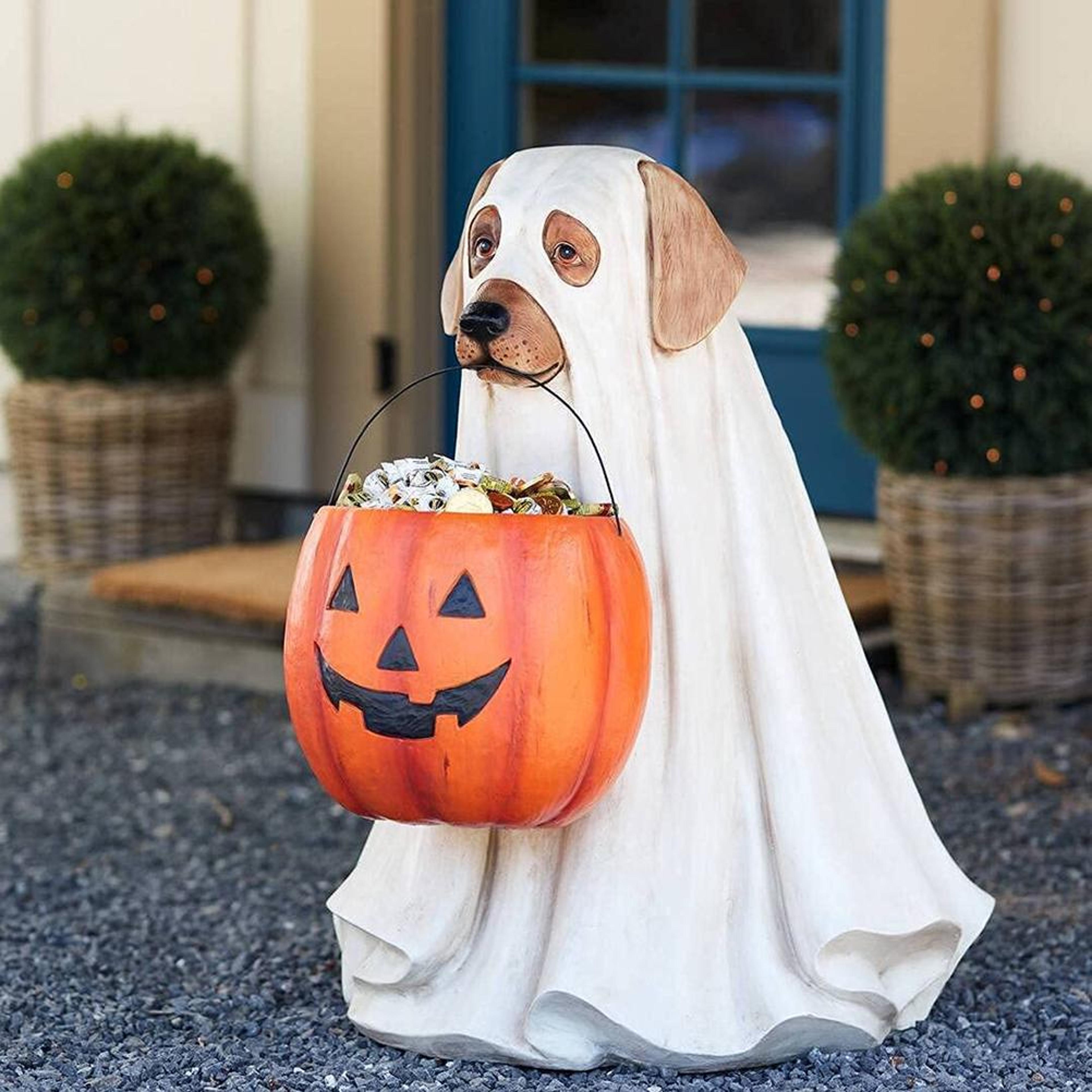 halloween dog ornaments, pumpkin snack bowl stand, with candy bowl halloween, trick or treat indoor outdoor decorations