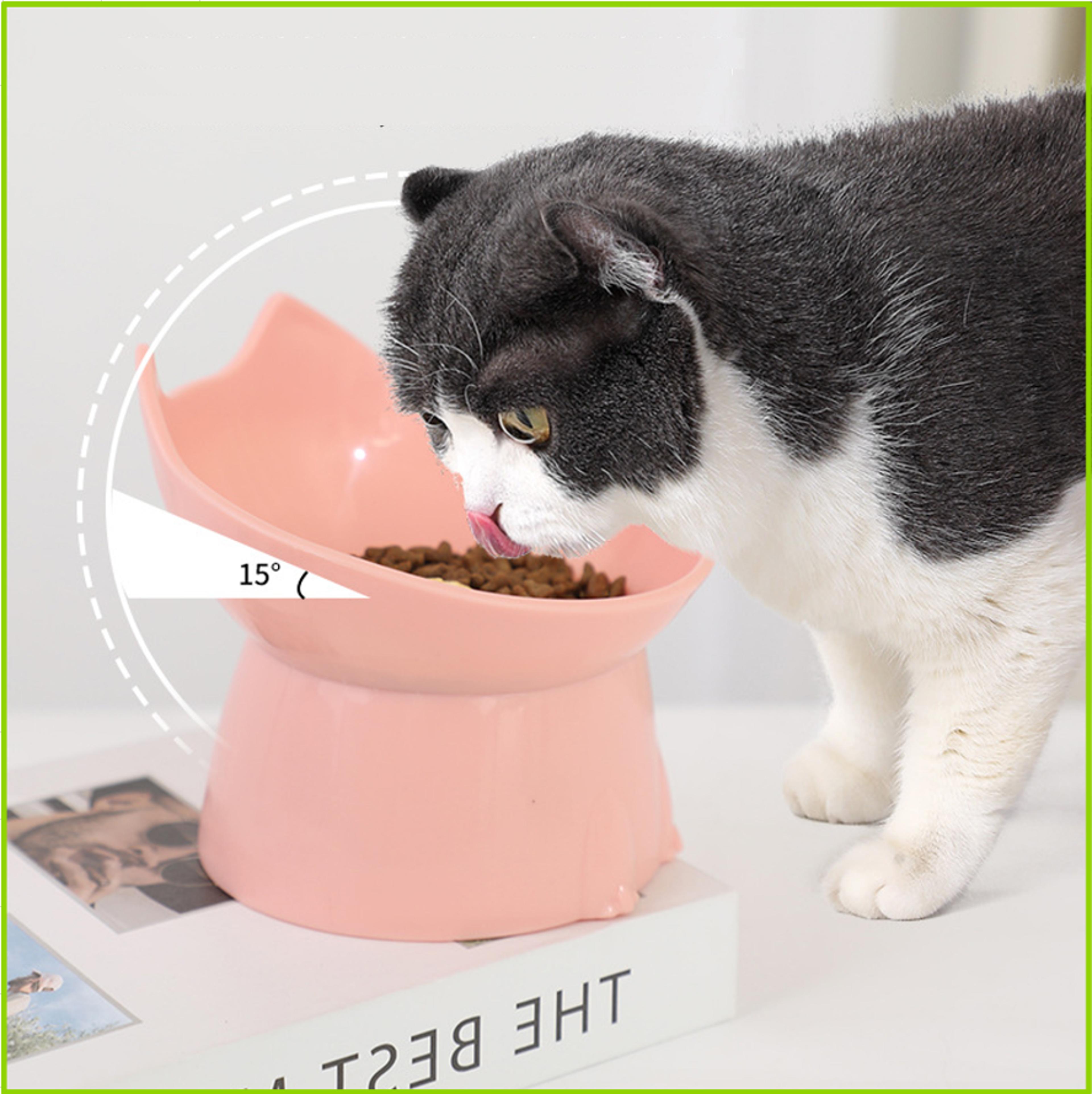 ergonomic raised pet bowl with neck protection anti overturning elevated cat bowl