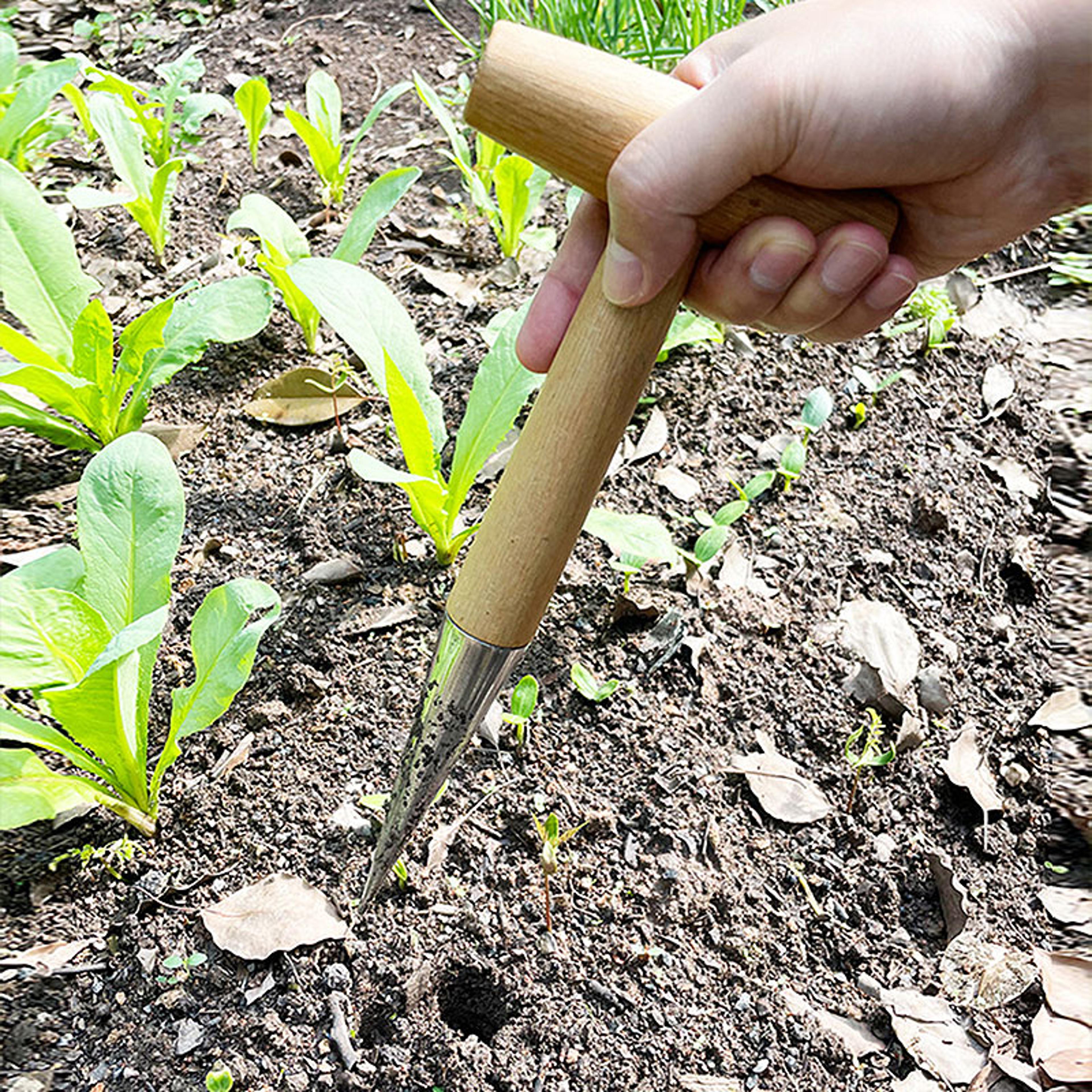 heavy-duty seed transplanting & planting tool, ergonomic t-shaped gardening hole puncher for bulbs, seedlings, and pots