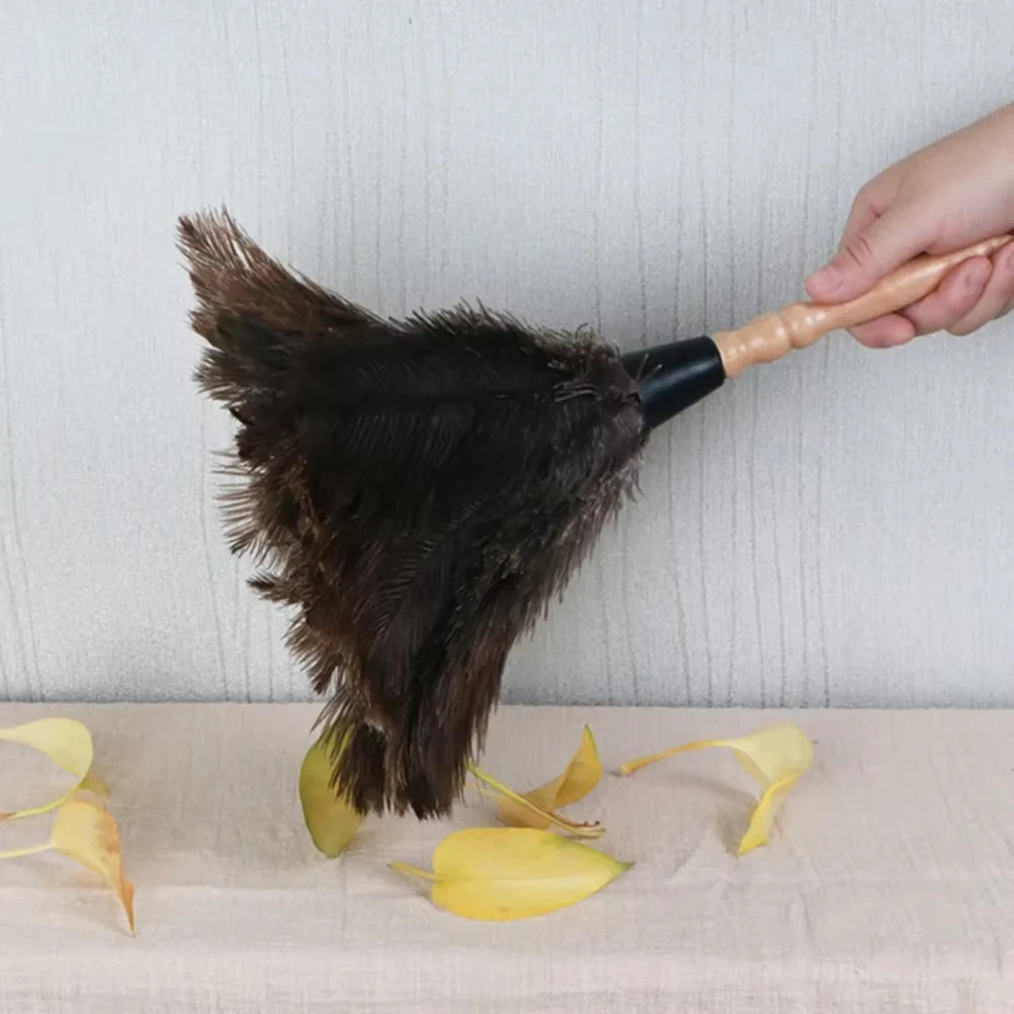 softsweep ostrich feather duster with wooden handle ostrich feather duster, anti static duster, dusting brush