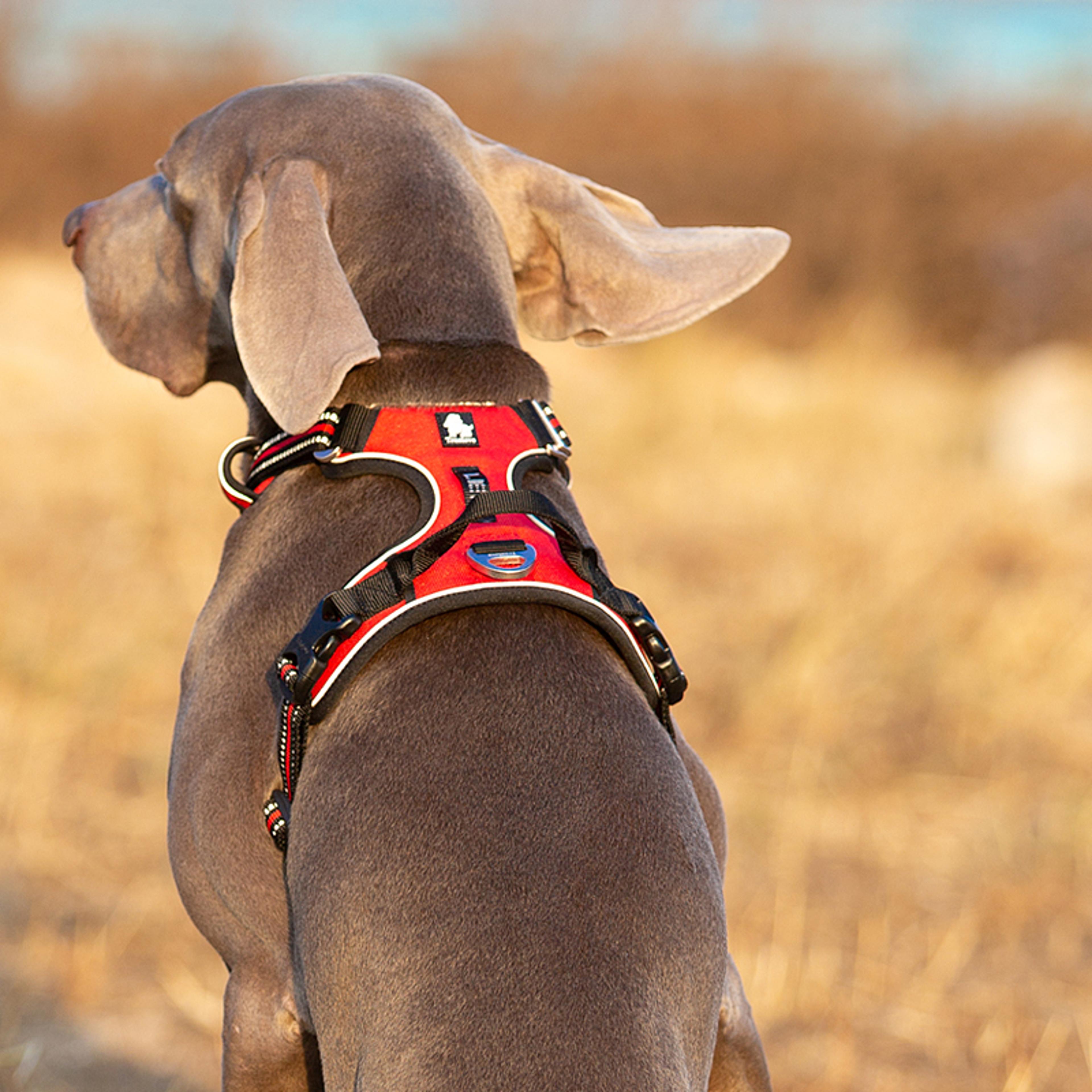 adjustable pet reflective nylon dog harness no pull medium large naughty dog vest for safety