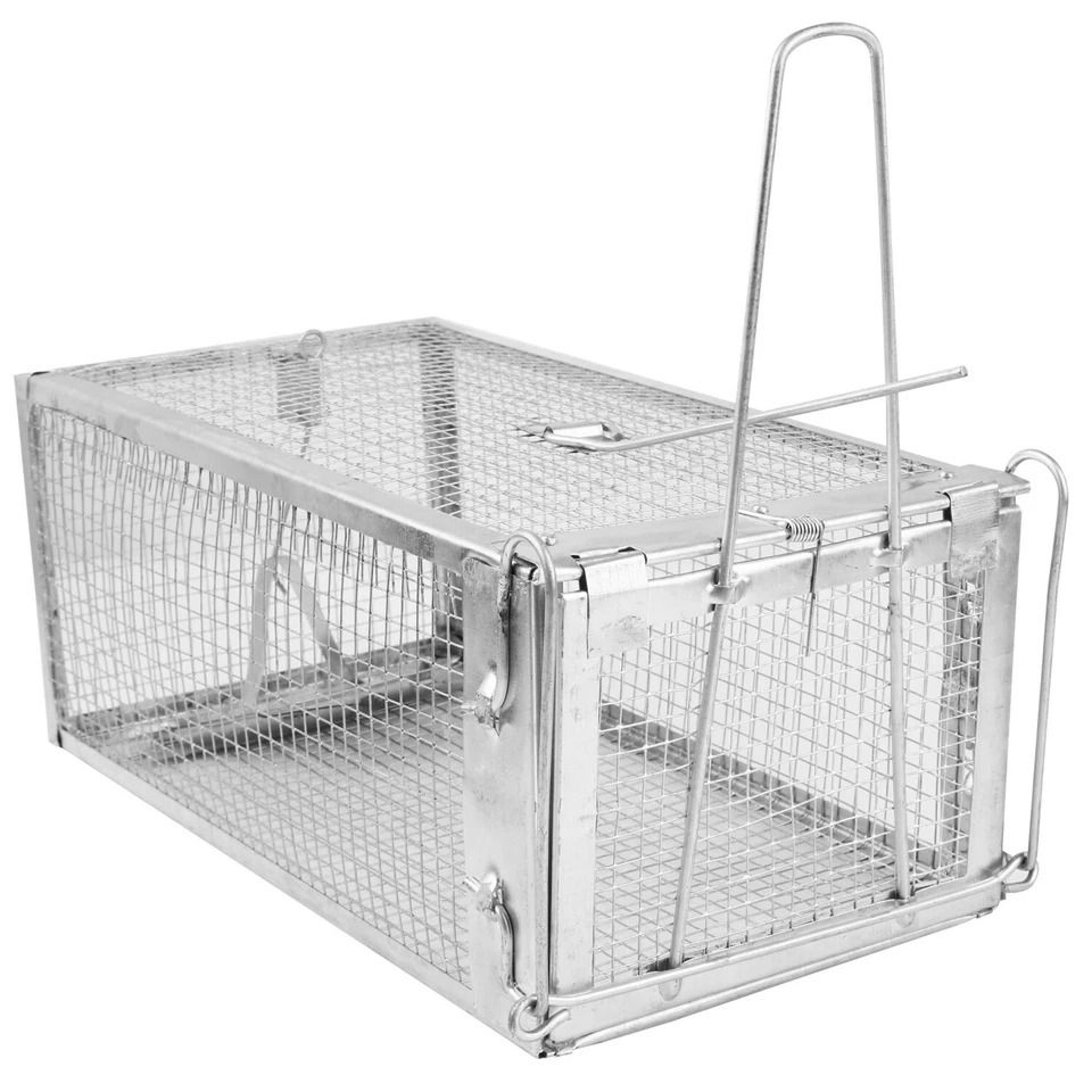 small live animal trap cage, humane rat trap for rodent control, non-toxic pest bait trap, catch mice, rats