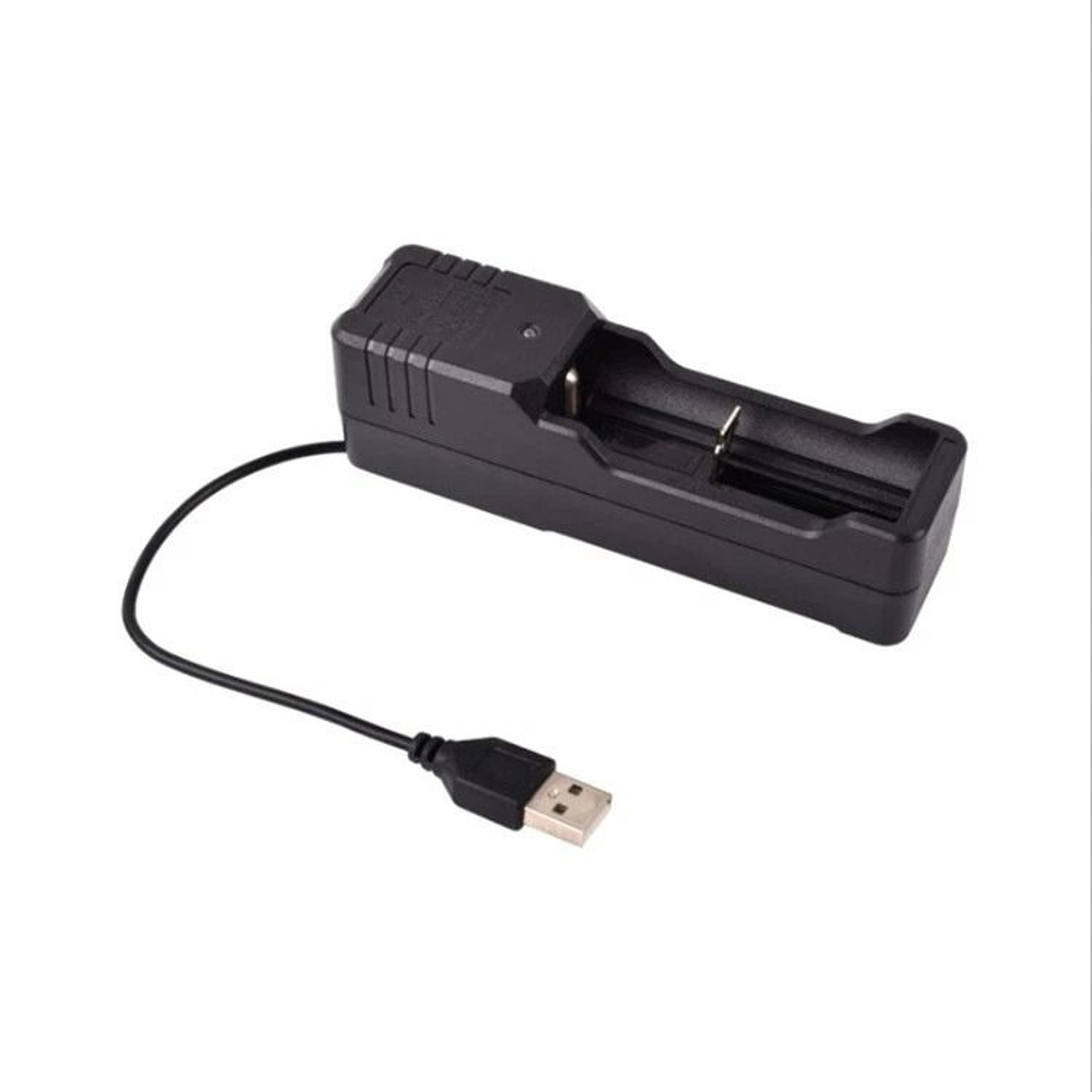 smart charger for li-ion lithium batteries slot