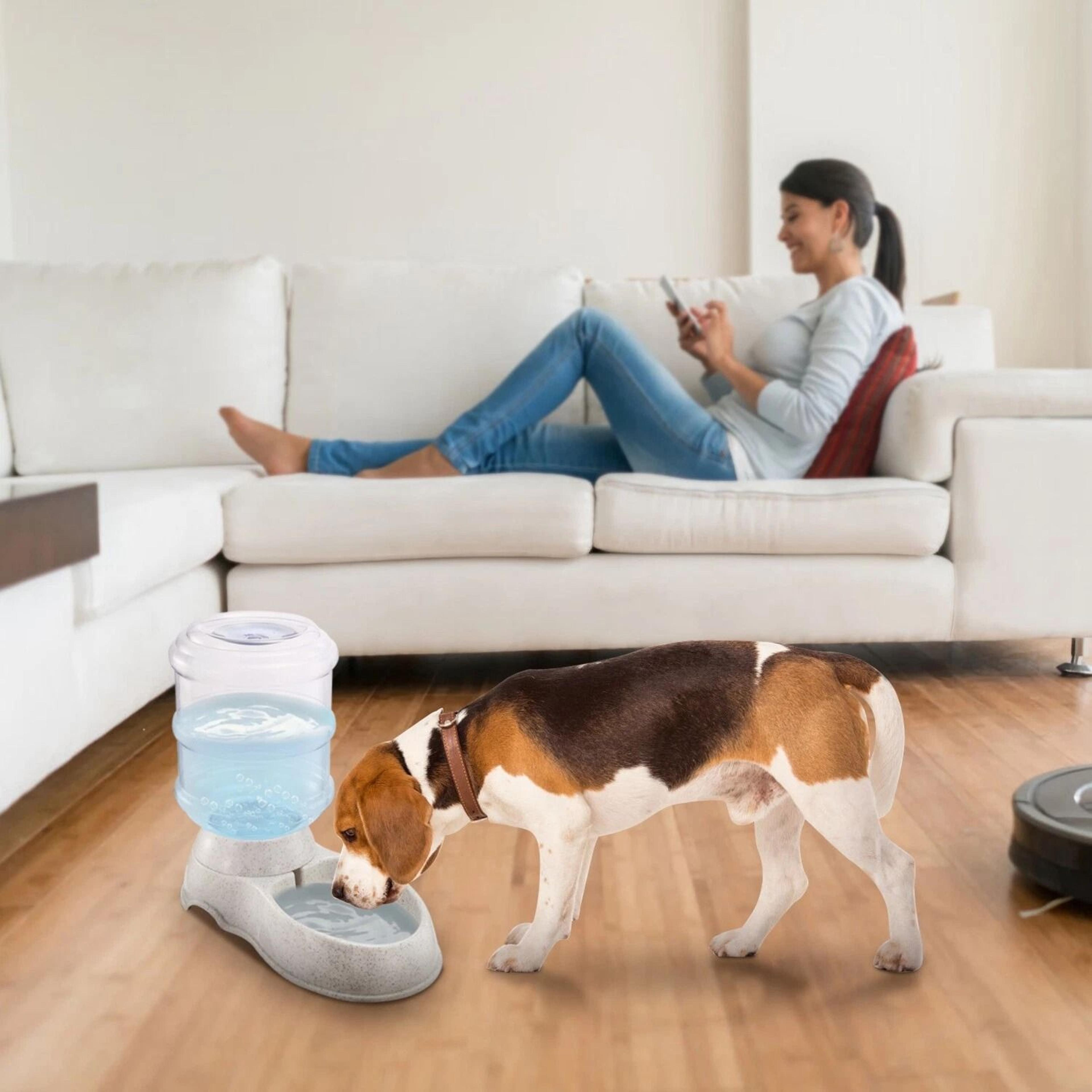 pet water fountain, portable dog water dispenser, cat sprinkler, feeder for dogs and cats