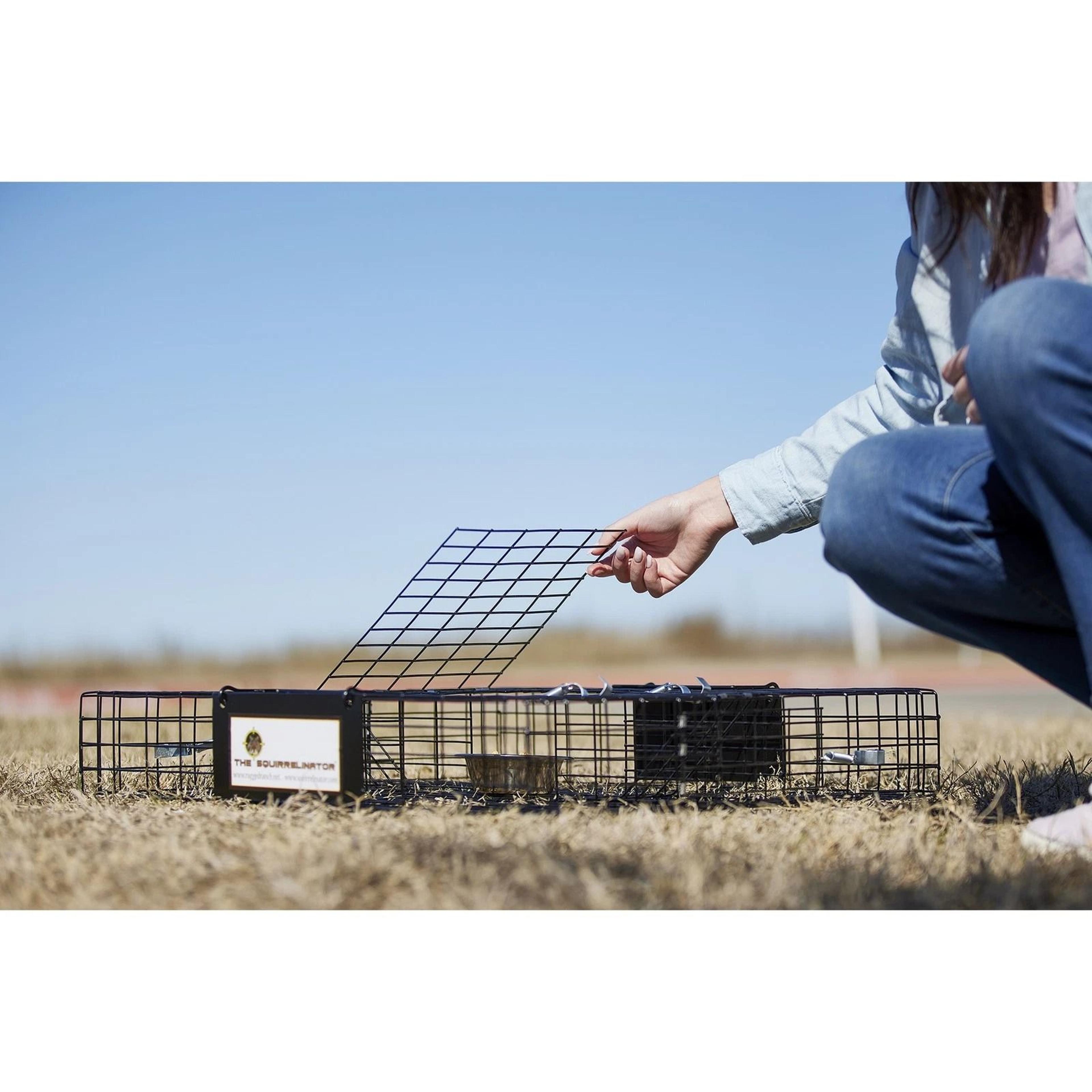 rugged ranch squirrelinator trap live animal cage with 2 doors for safe animal capture