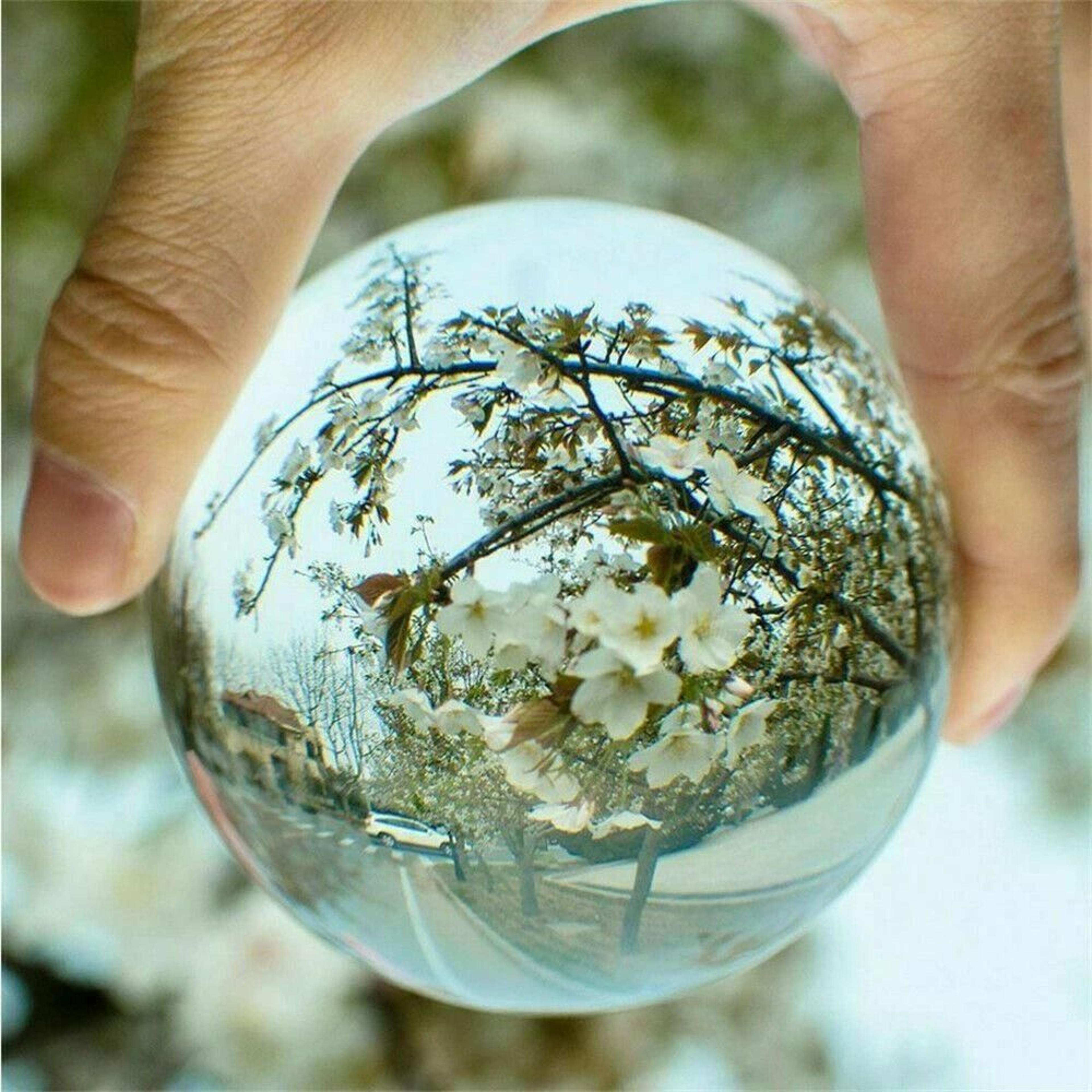 clear photography crystal ball sphere with stand lens photo decoration for photography enthusiasts