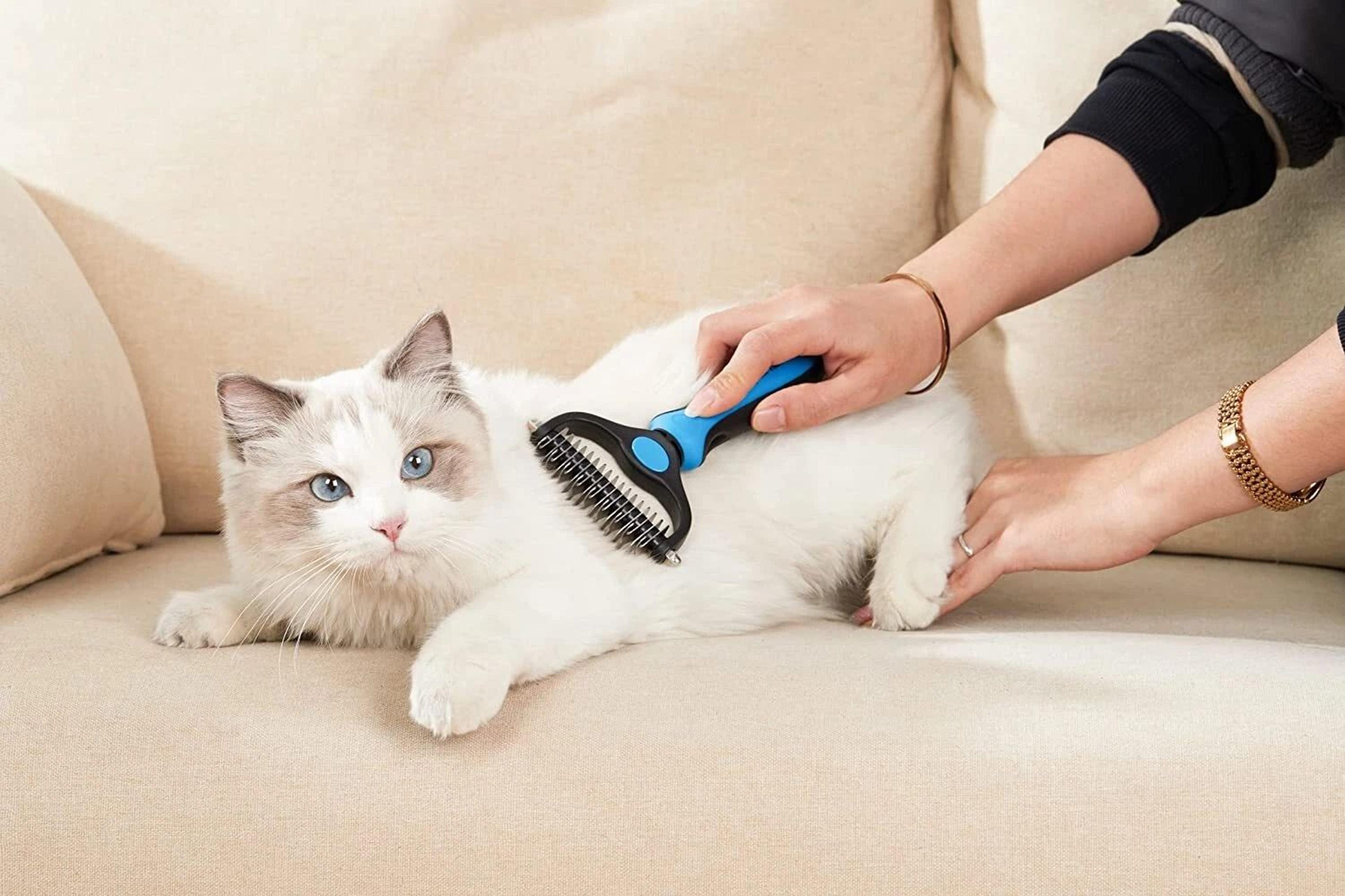 2side dog brush for shedding & dematting pet grooming comb for cats and dogs with undercoat rake