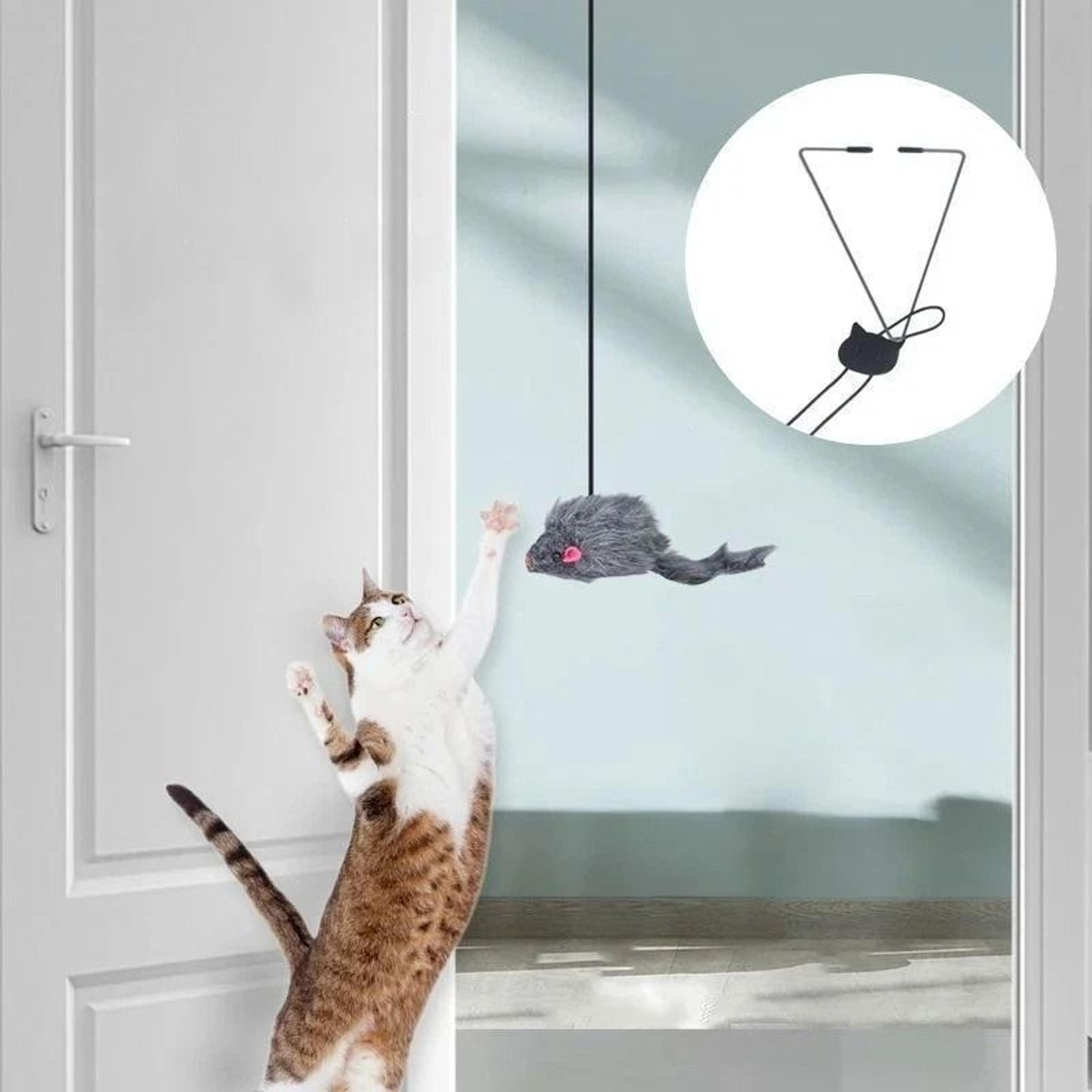 interactive door hanging cat toy for indoor cats and kittens