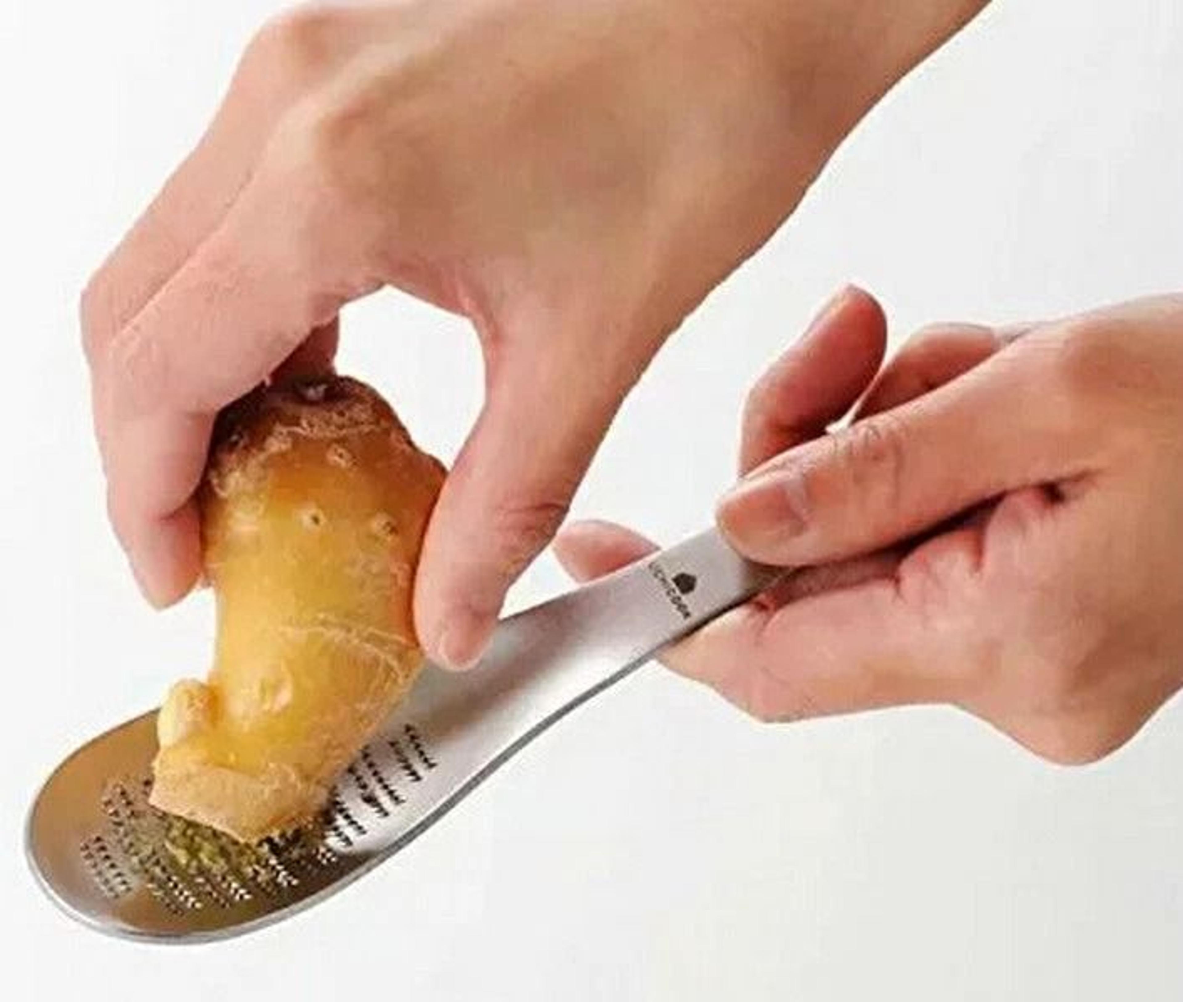 stainless steel ginger garlic grater for wasabi and spice prep