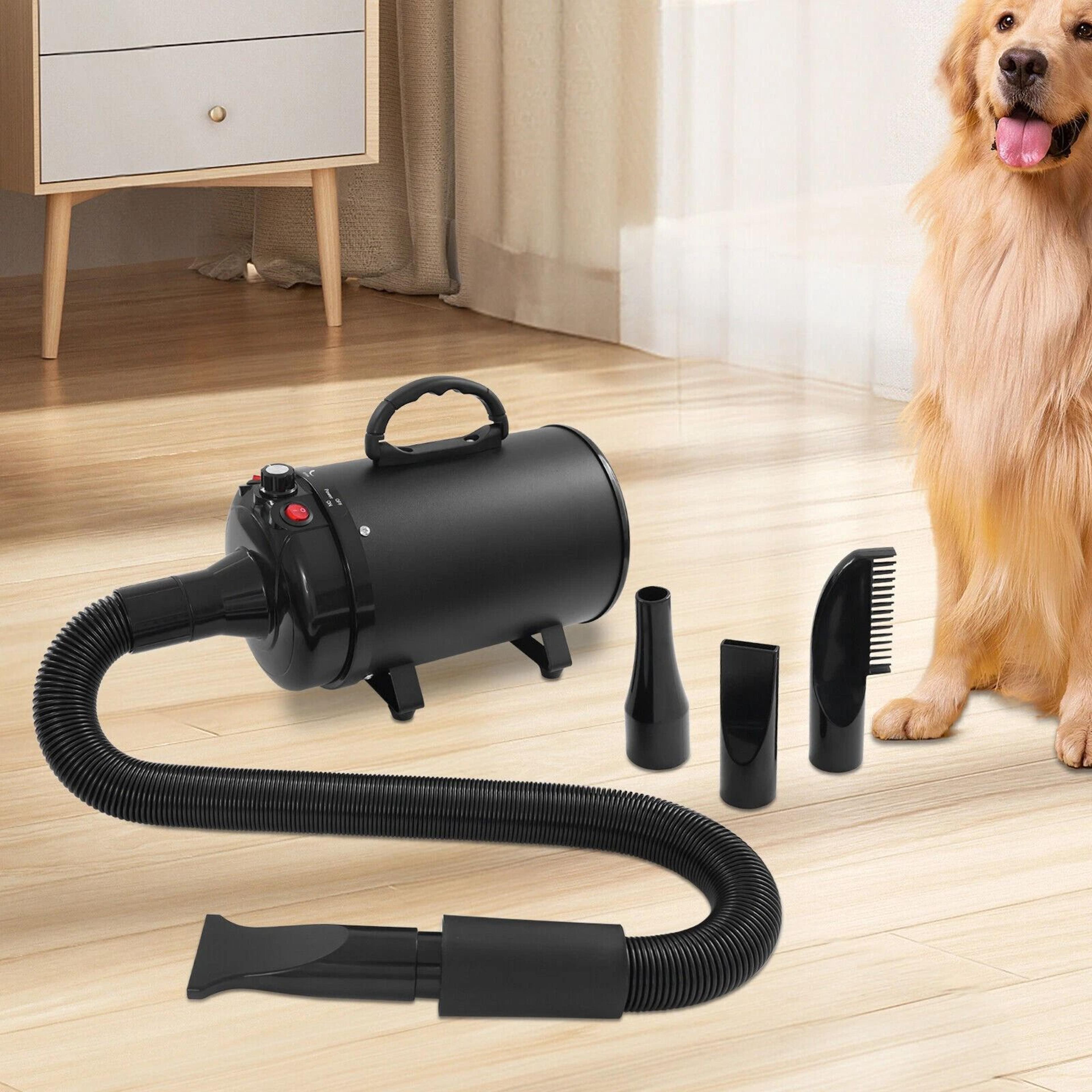 professional pet hair dryer for dogs & cats with adjustable speed & temperature, low noise, 4 nozzles