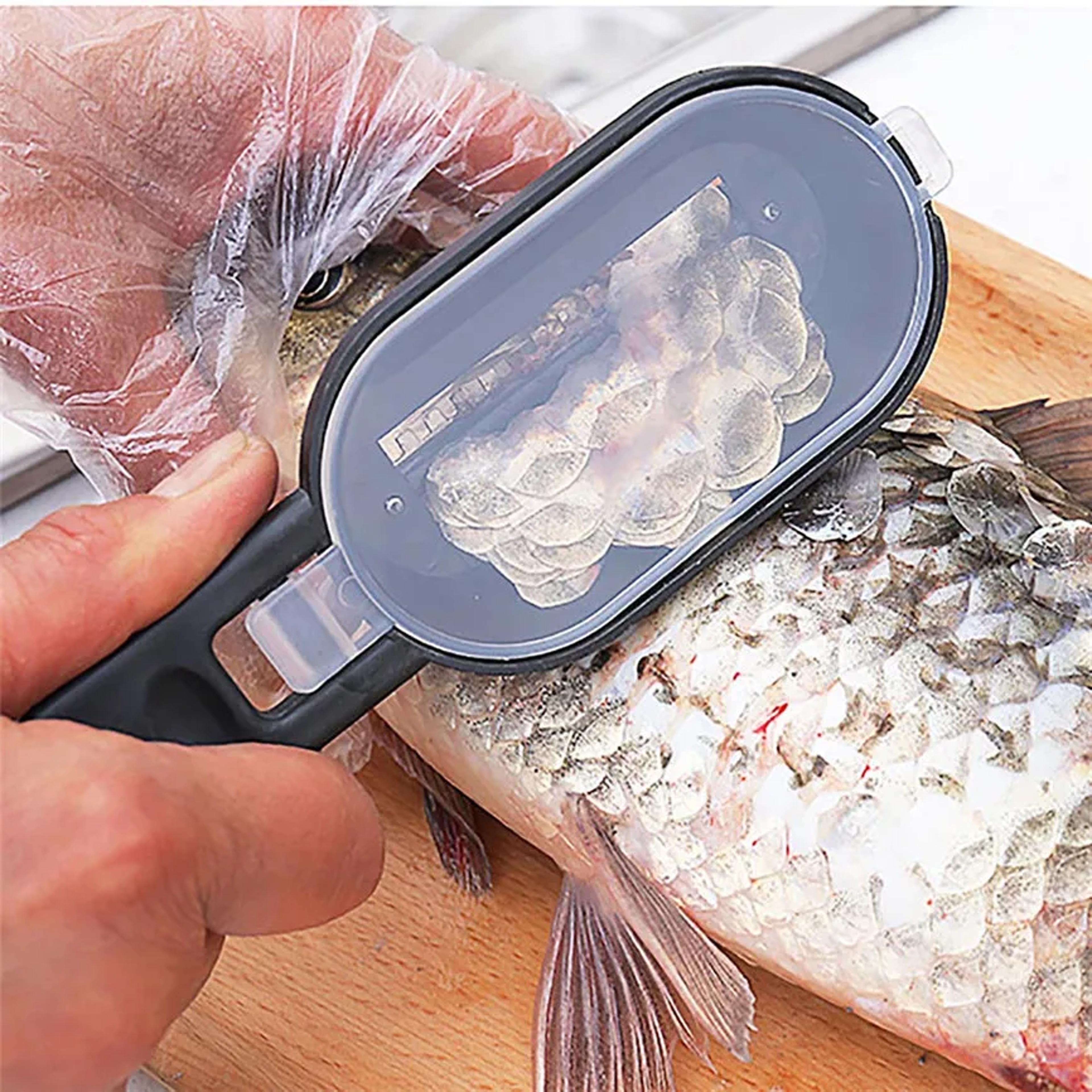 precision fish scale remover brush stainless steel fish scaler tool for fast & easy seafood cleaning