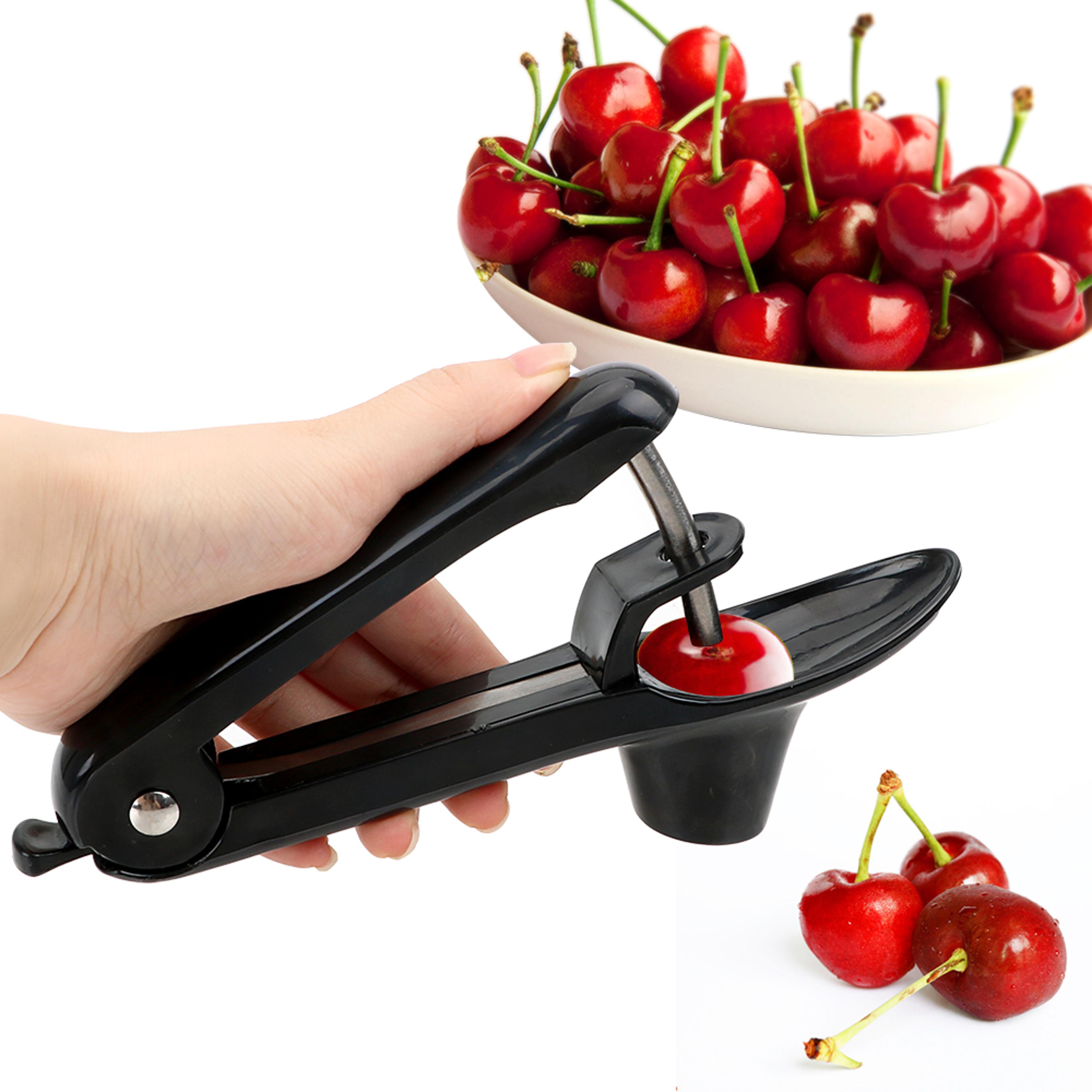 stainless steel cherry pitter & olive seed remover kitchen tool