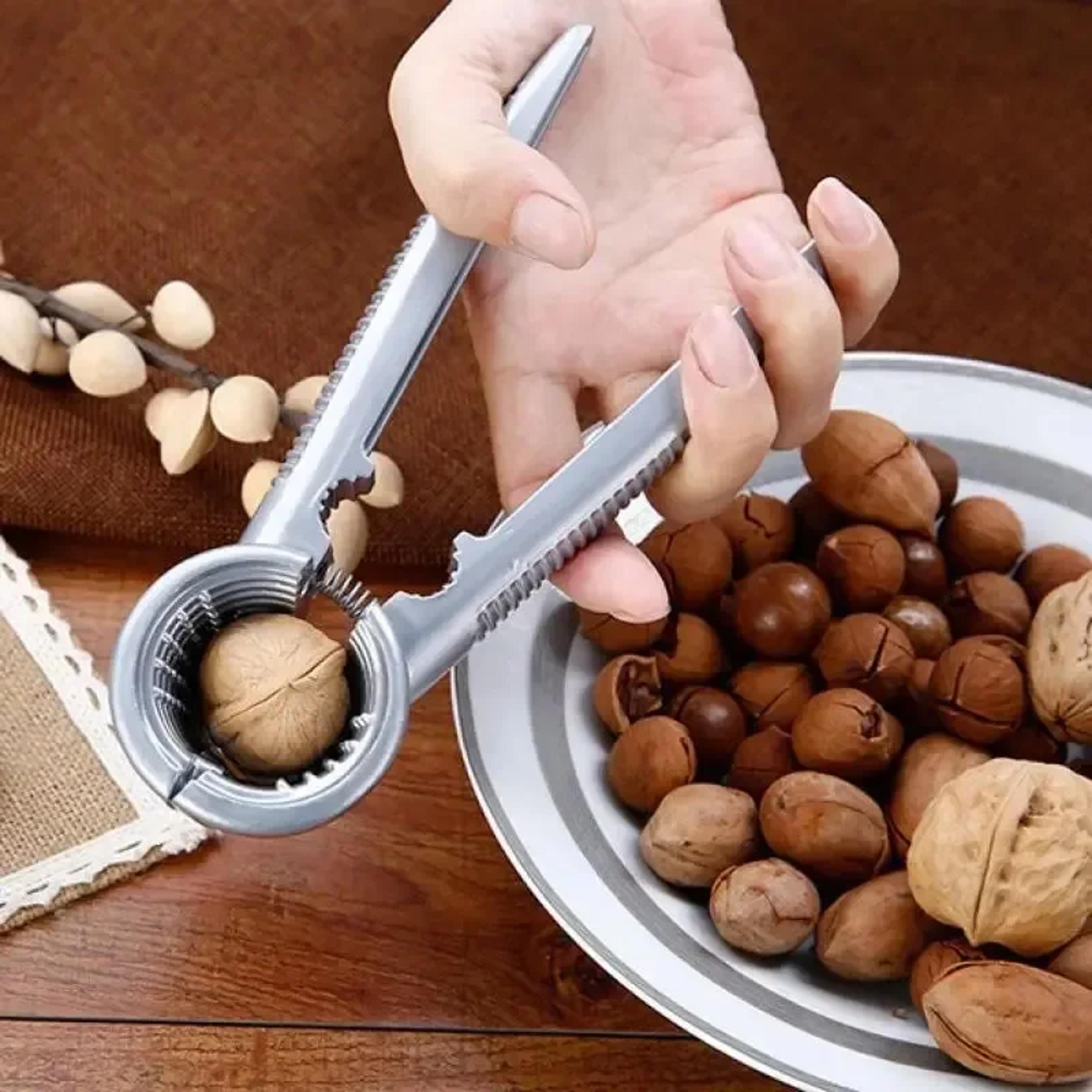 stainless steel nutcracker tool for walnuts, chestnuts & hazelnuts